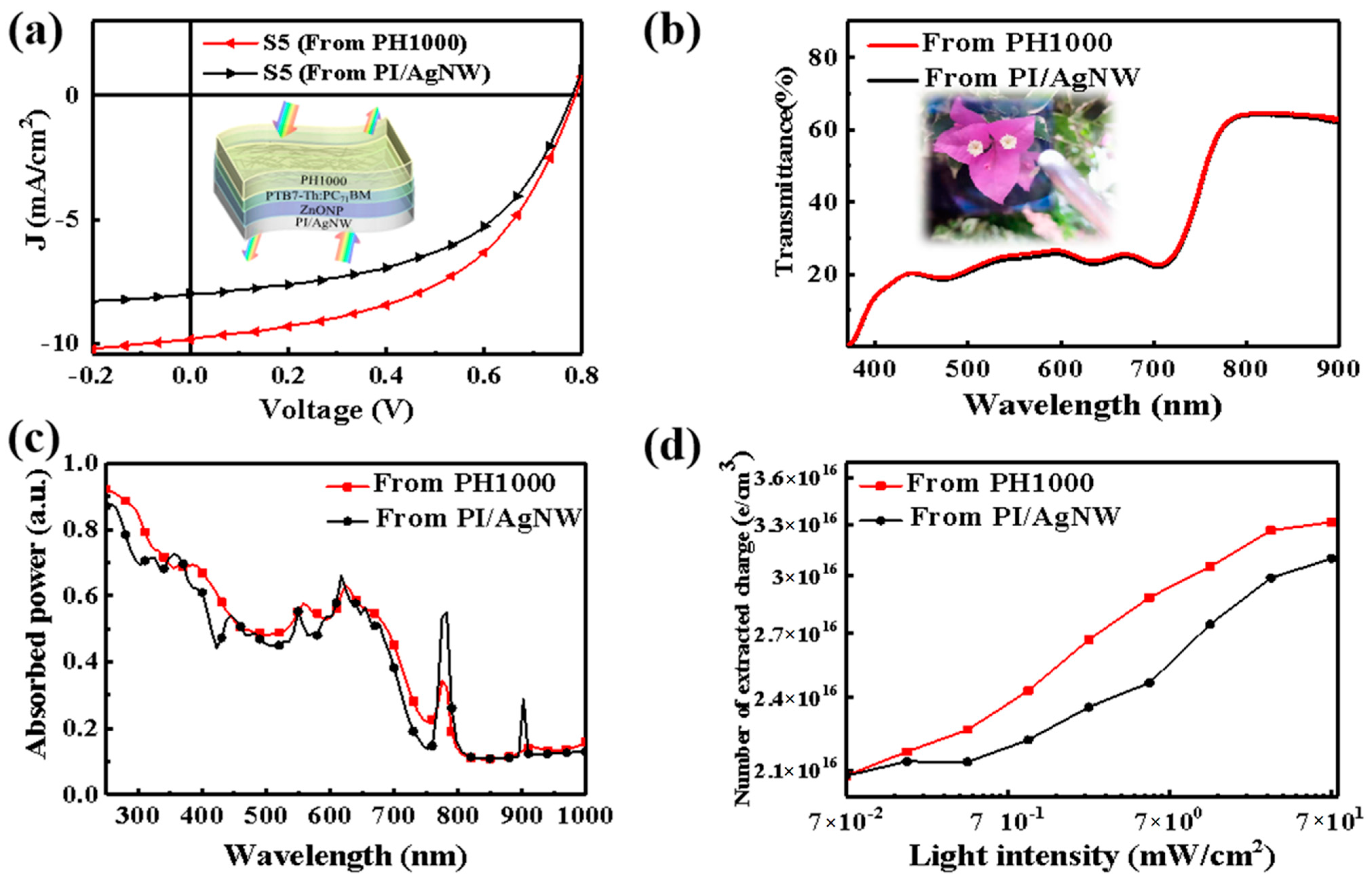 Nanomaterials 12 03987 g004