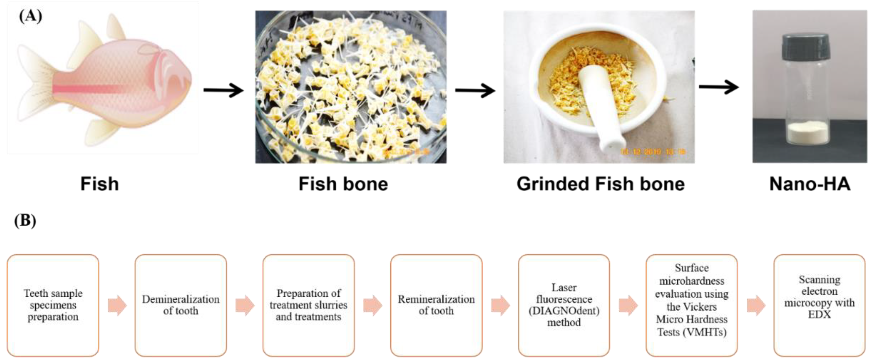 Nanomaterials 12 03993 g001