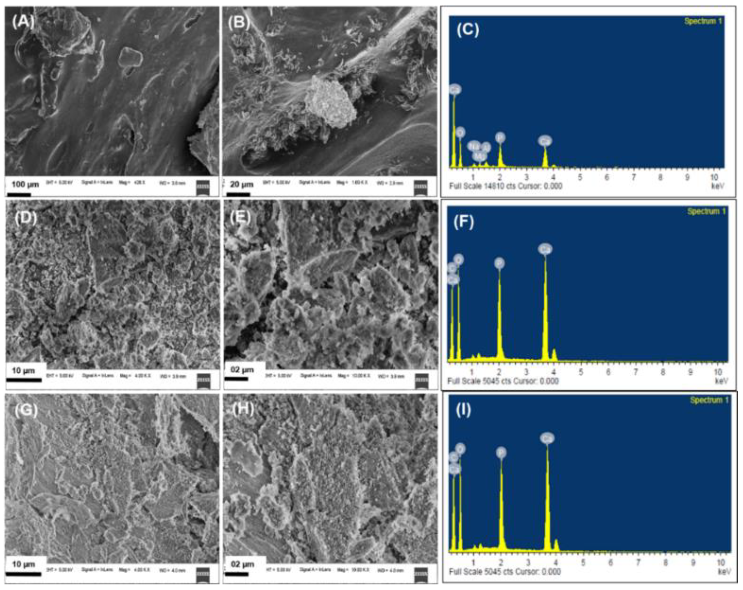 Nanomaterials 12 03993 g005
