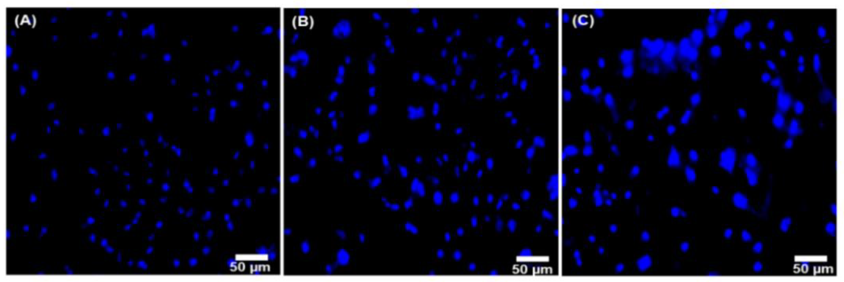 Nanomaterials 12 03993 g008