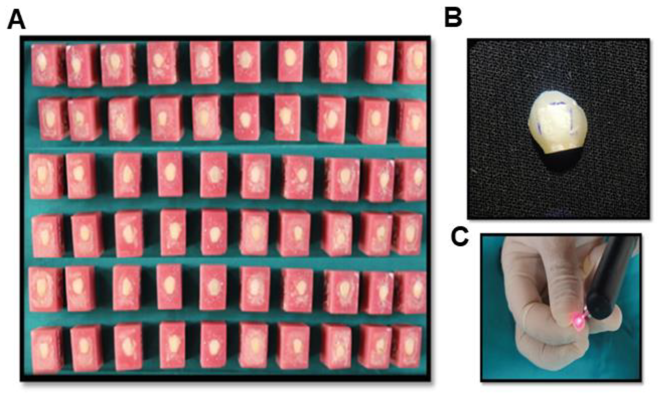 Nanomaterials 12 03993 g009
