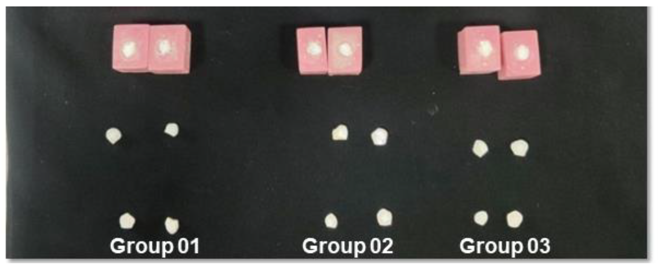 Nanomaterials 12 03993 g010