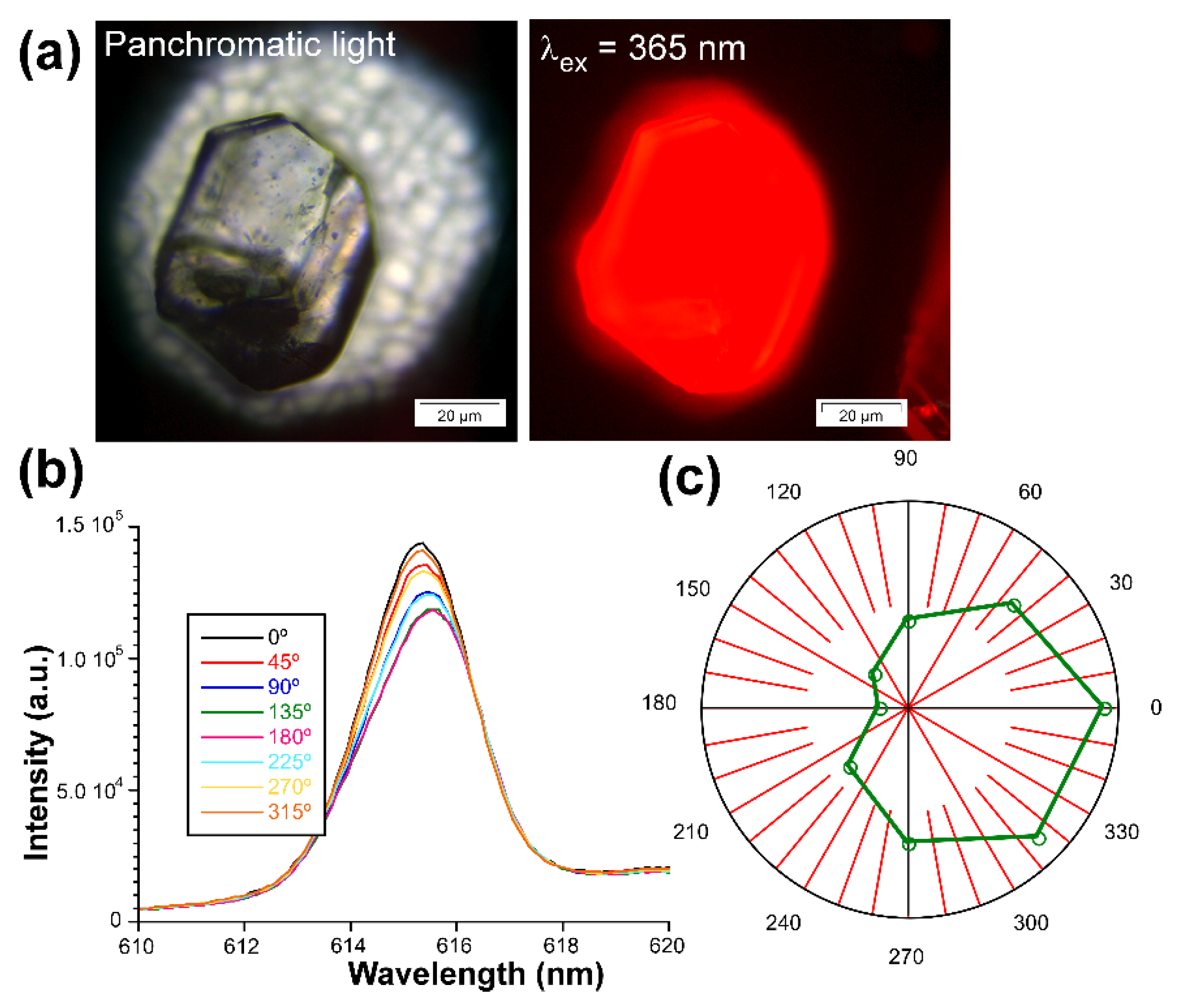 Nanomaterials 12 03999 g012