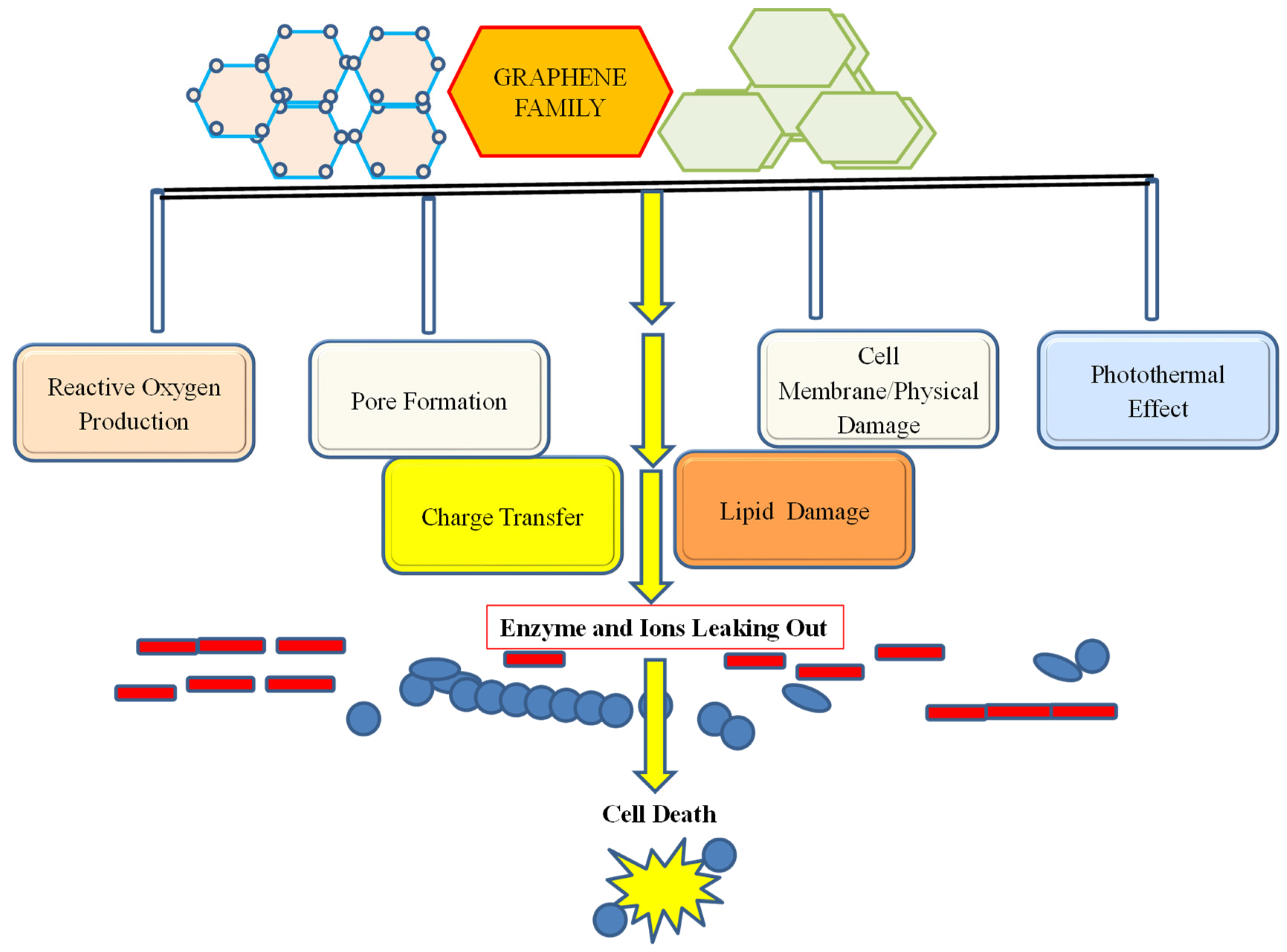 Nanomaterials 12 04002 g005
