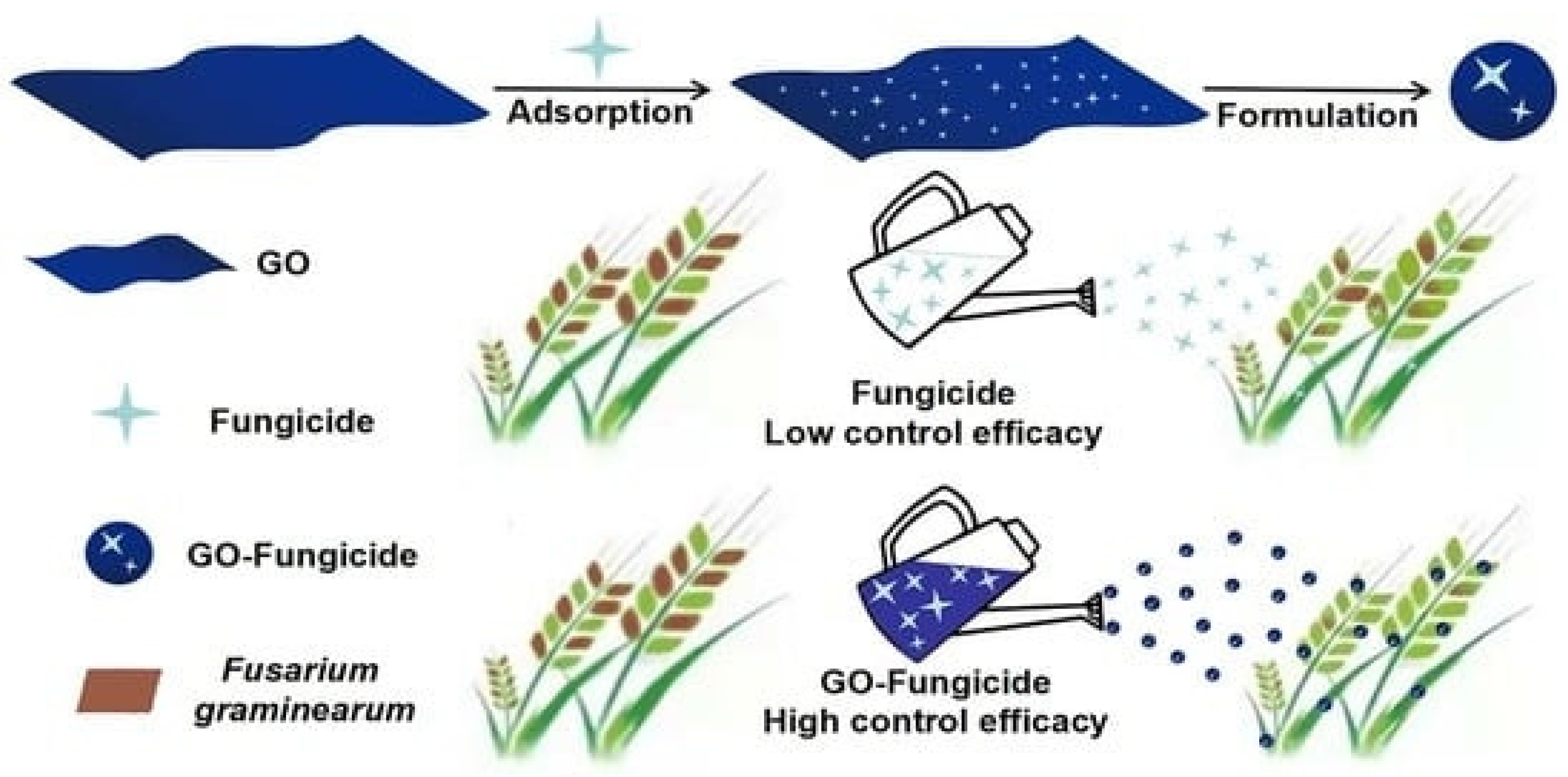Nanomaterials 12 04002 g007