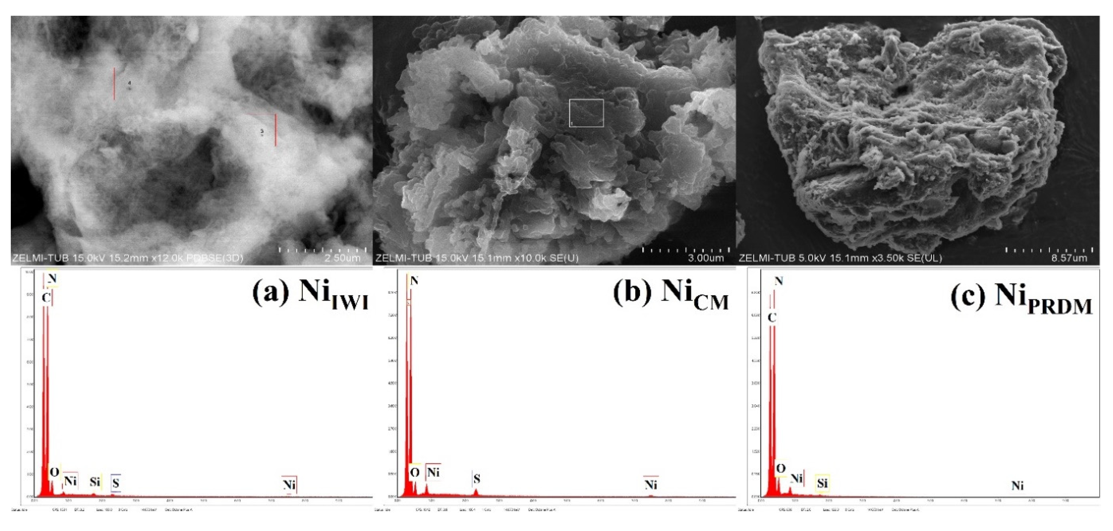 Nanomaterials 12 04006 g003
