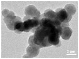 Nanomaterials 12 04060 i001