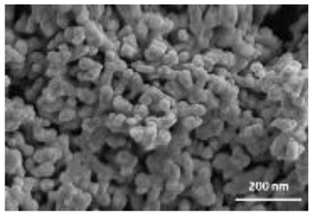 Nanomaterials 12 04060 i002