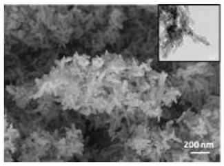 Nanomaterials 12 04060 i003
