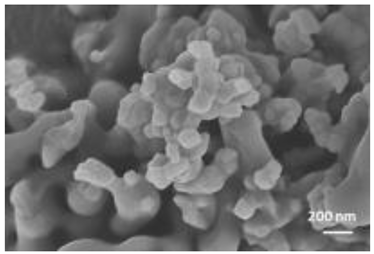 Nanomaterials 12 04060 i004