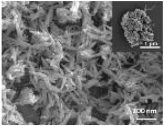 Nanomaterials 12 04060 i005