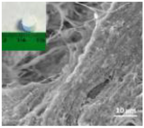 Nanomaterials 12 04060 i006