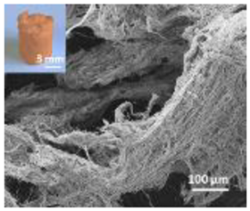 Nanomaterials 12 04060 i007