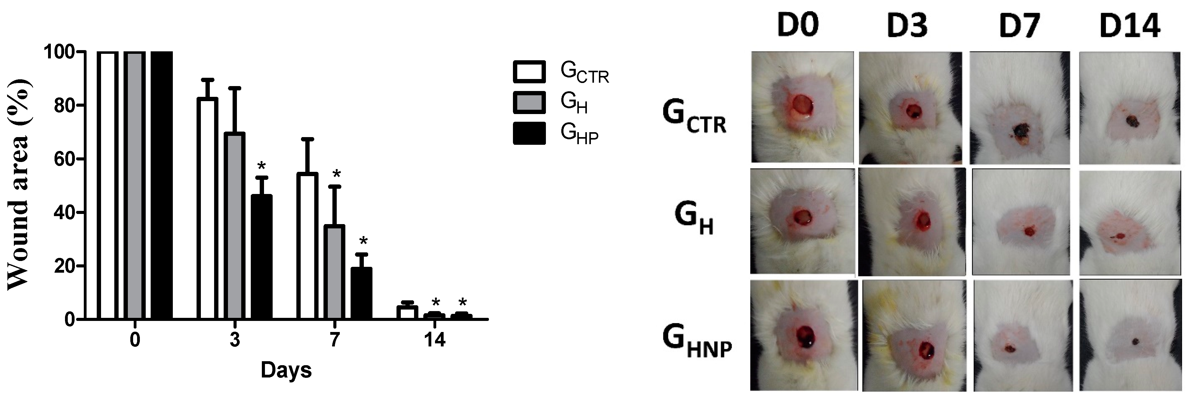 Nanomaterials 12 04071 g001