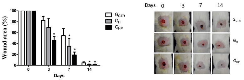 Nanomaterials 12 04071 i001