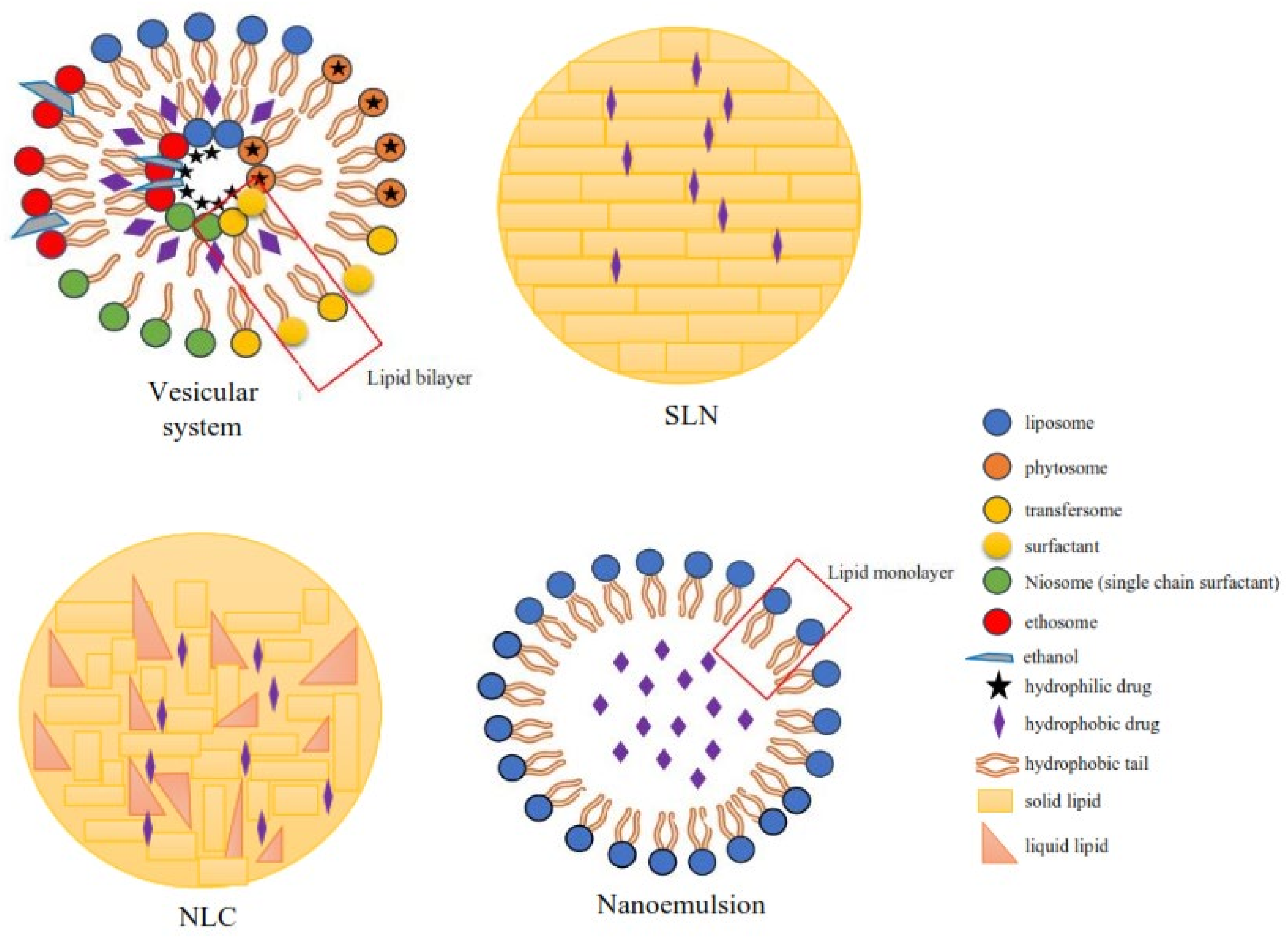 Nanomaterials 12 04073 g003 Nanomaterials 12 04073 g003