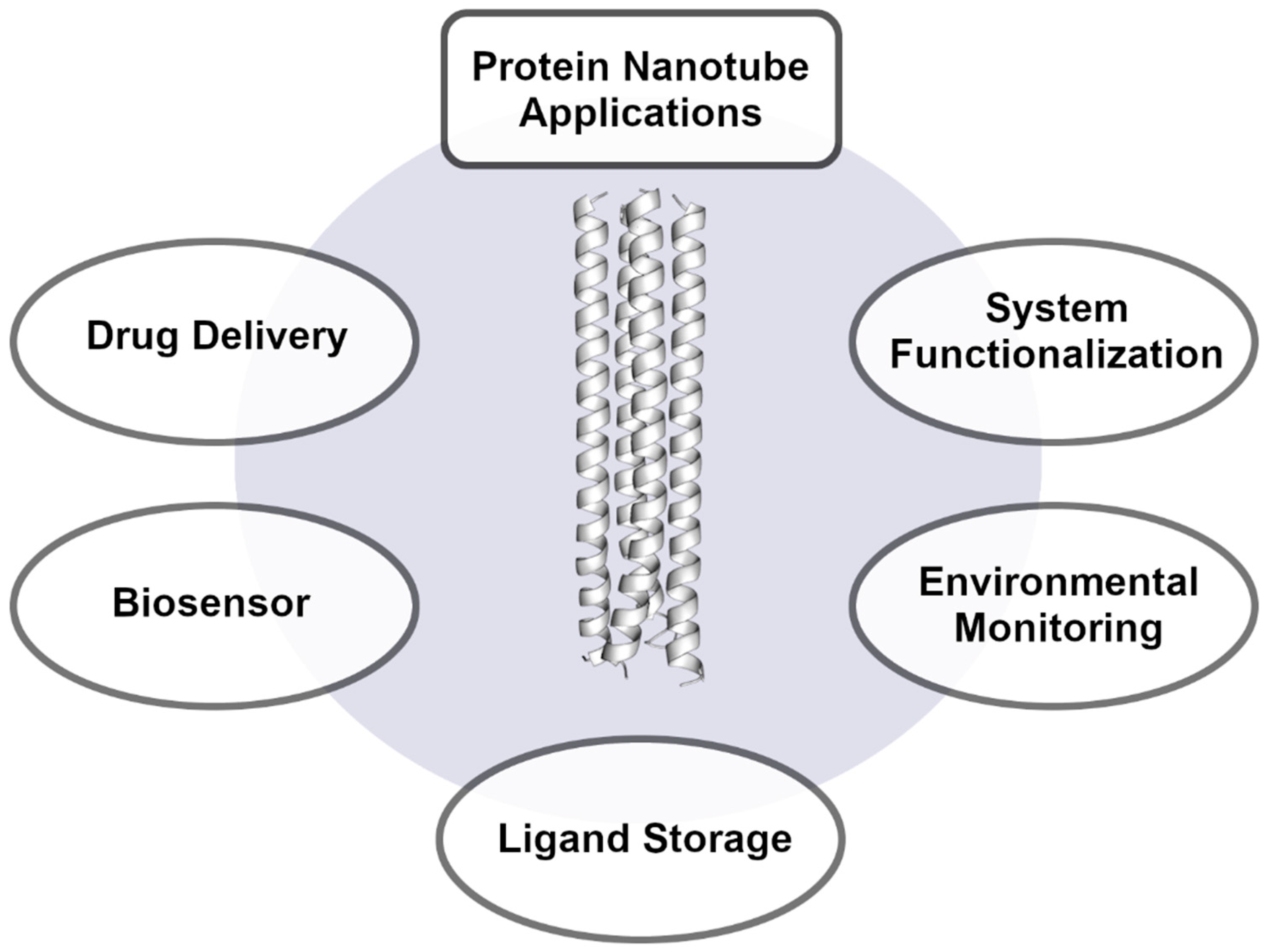Nanomaterials 12 04080 g003 Nanomaterials 12 04080 g003