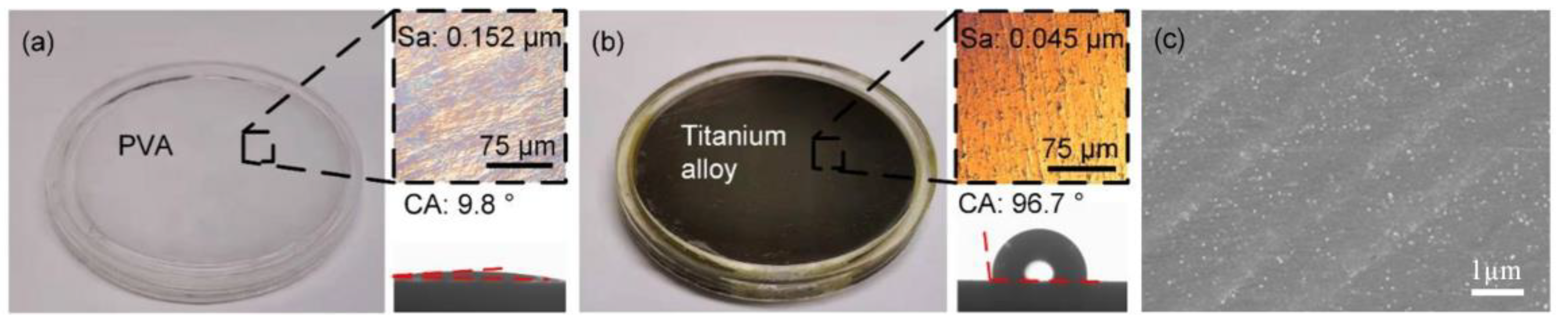 Nanomaterials 12 04103 g001