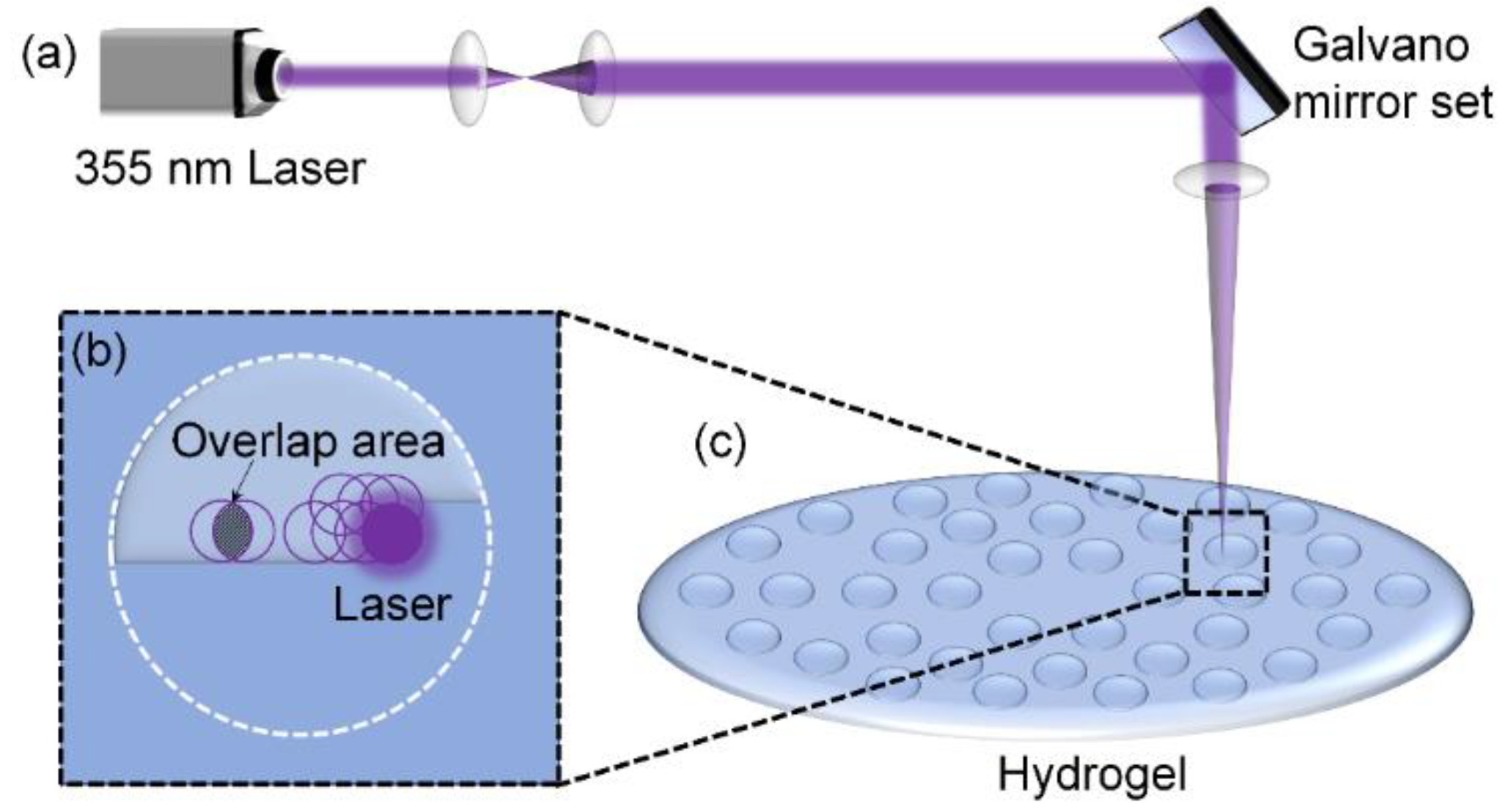 Nanomaterials 12 04103 g002