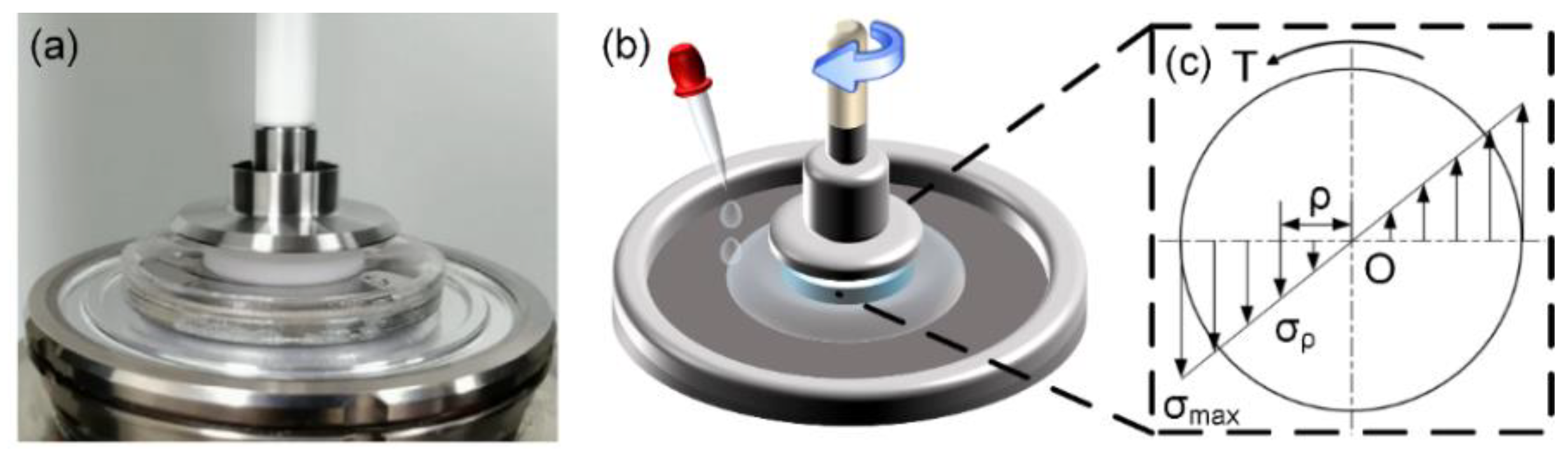 Nanomaterials 12 04103 g003