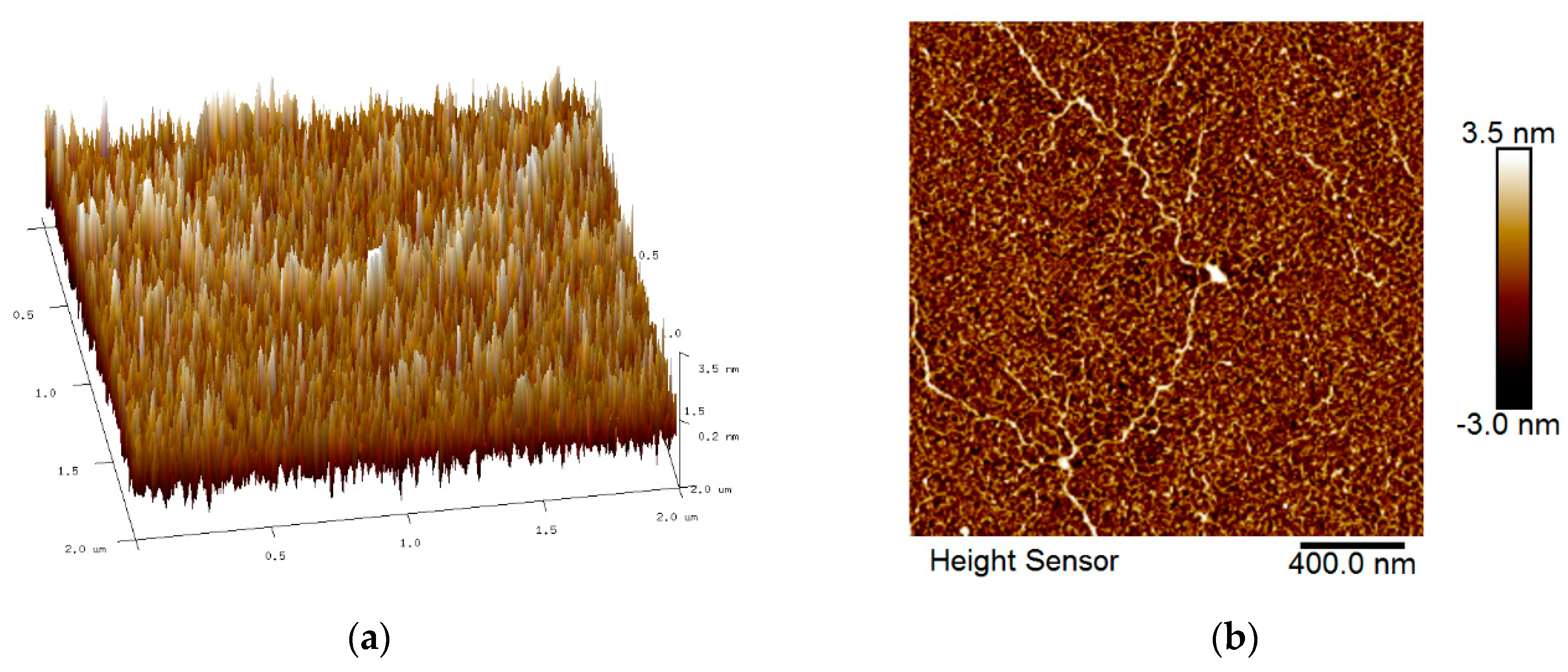 Nanomaterials 12 04105 g005