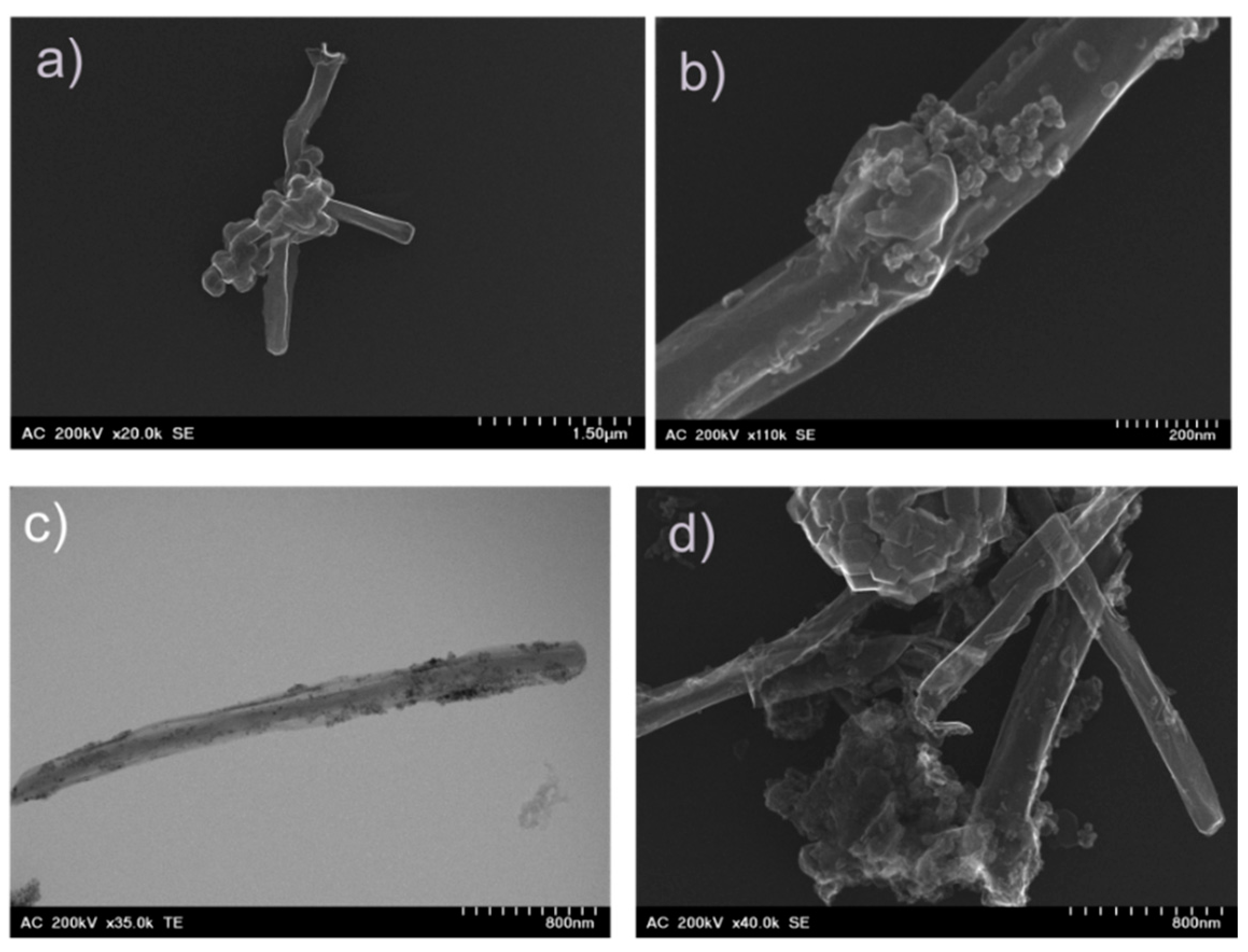 Nanomaterials 12 04115 g001