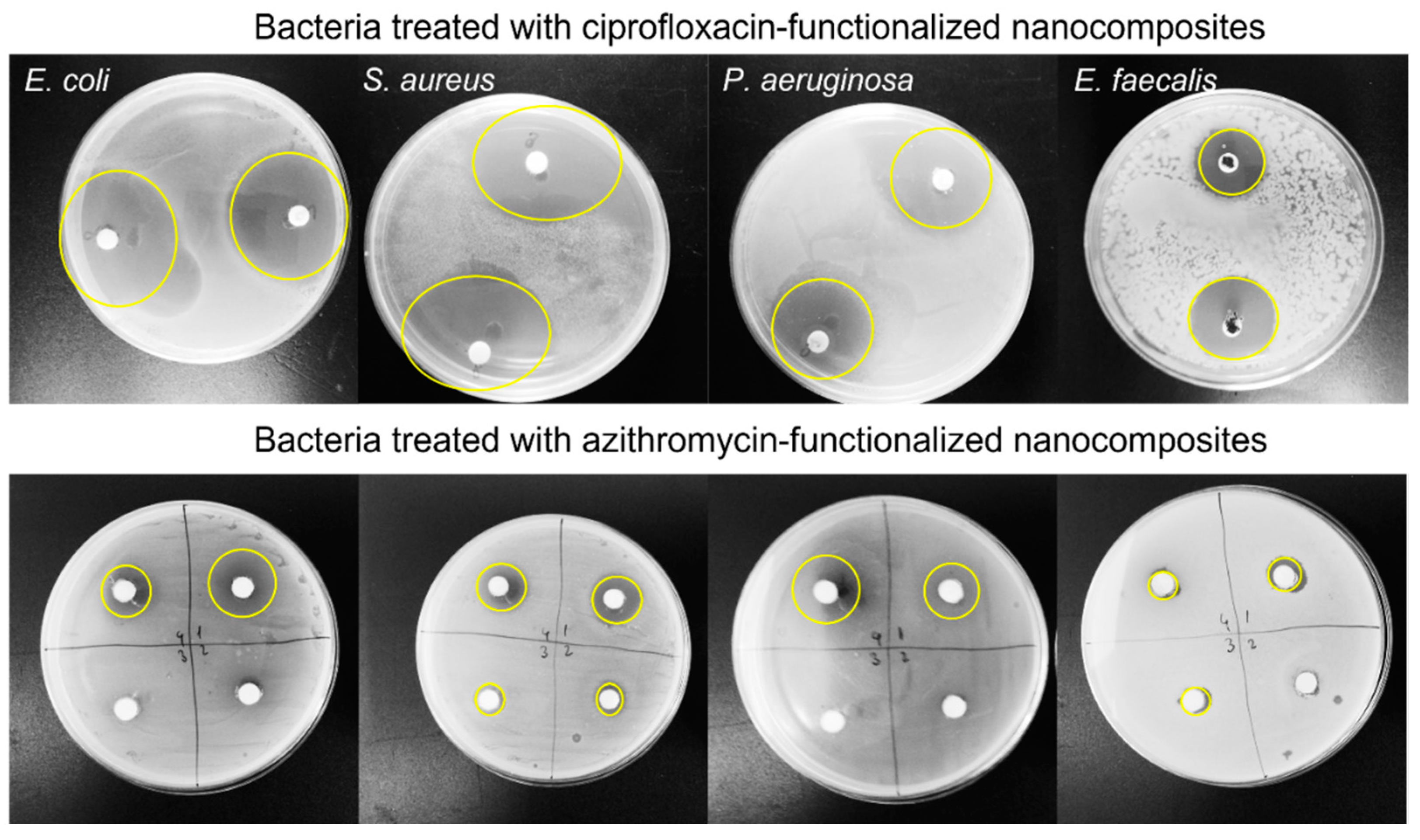 Nanomaterials 12 04115 g008