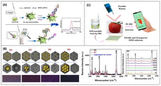 Nanomaterials 12 04116 g004