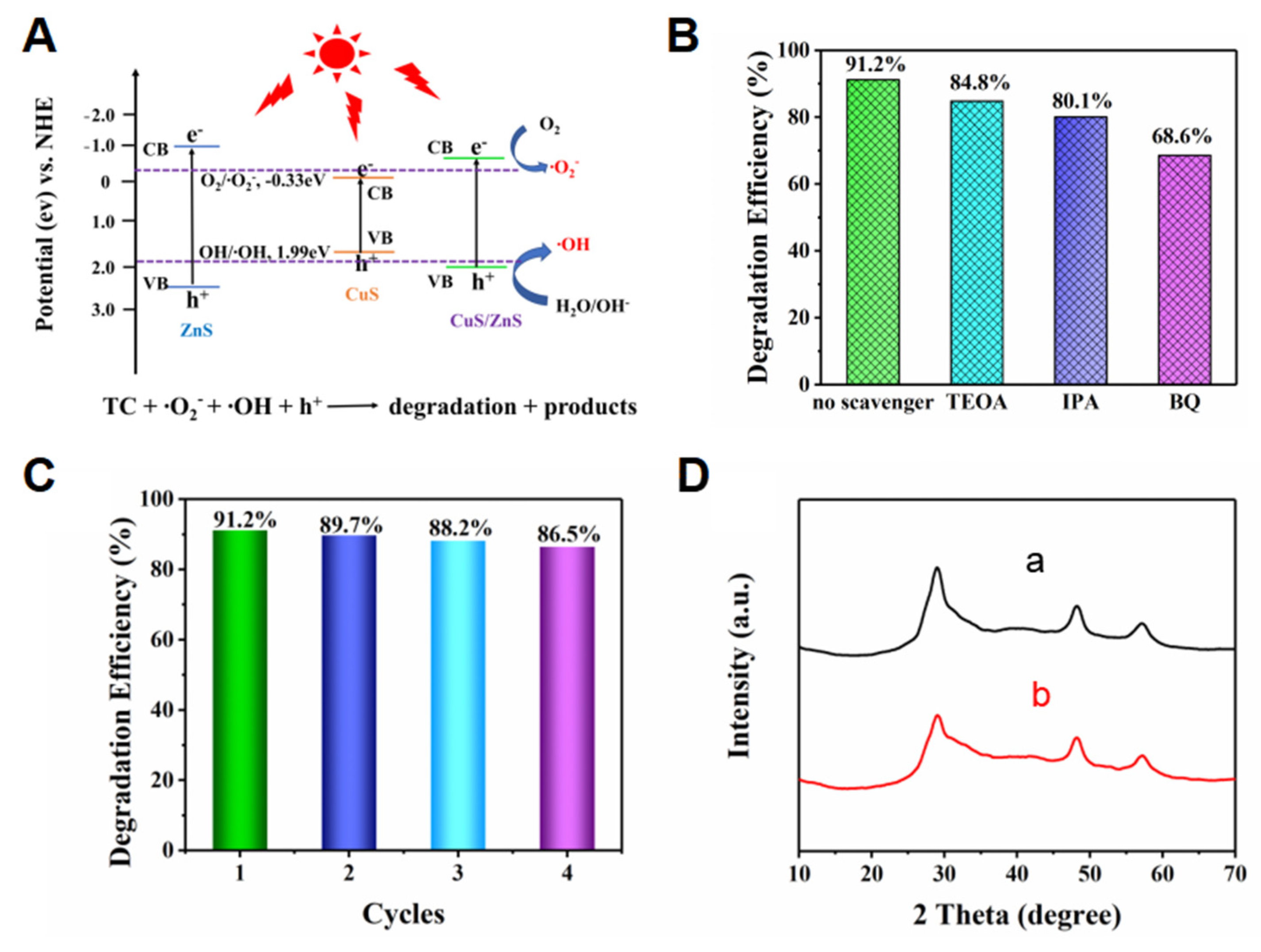 Nanomaterials 12 04123 g006