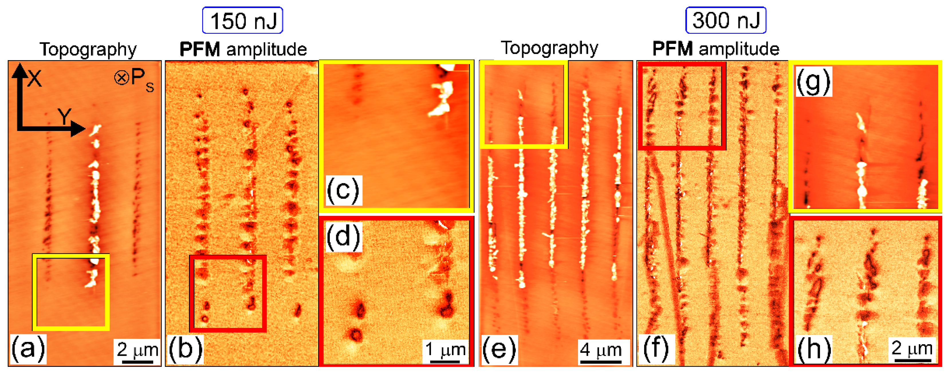 Nanomaterials 12 04147 g004