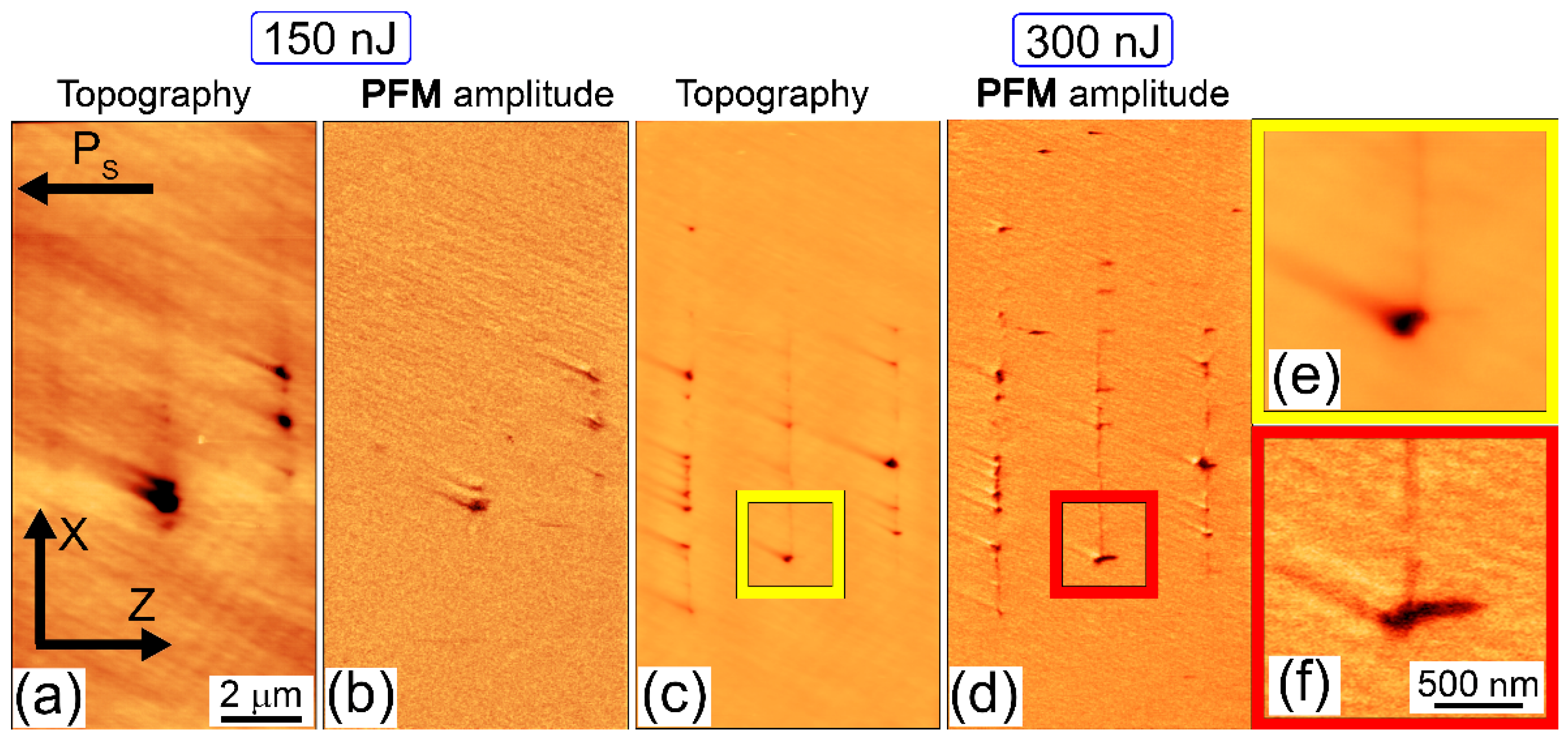 Nanomaterials 12 04147 g005