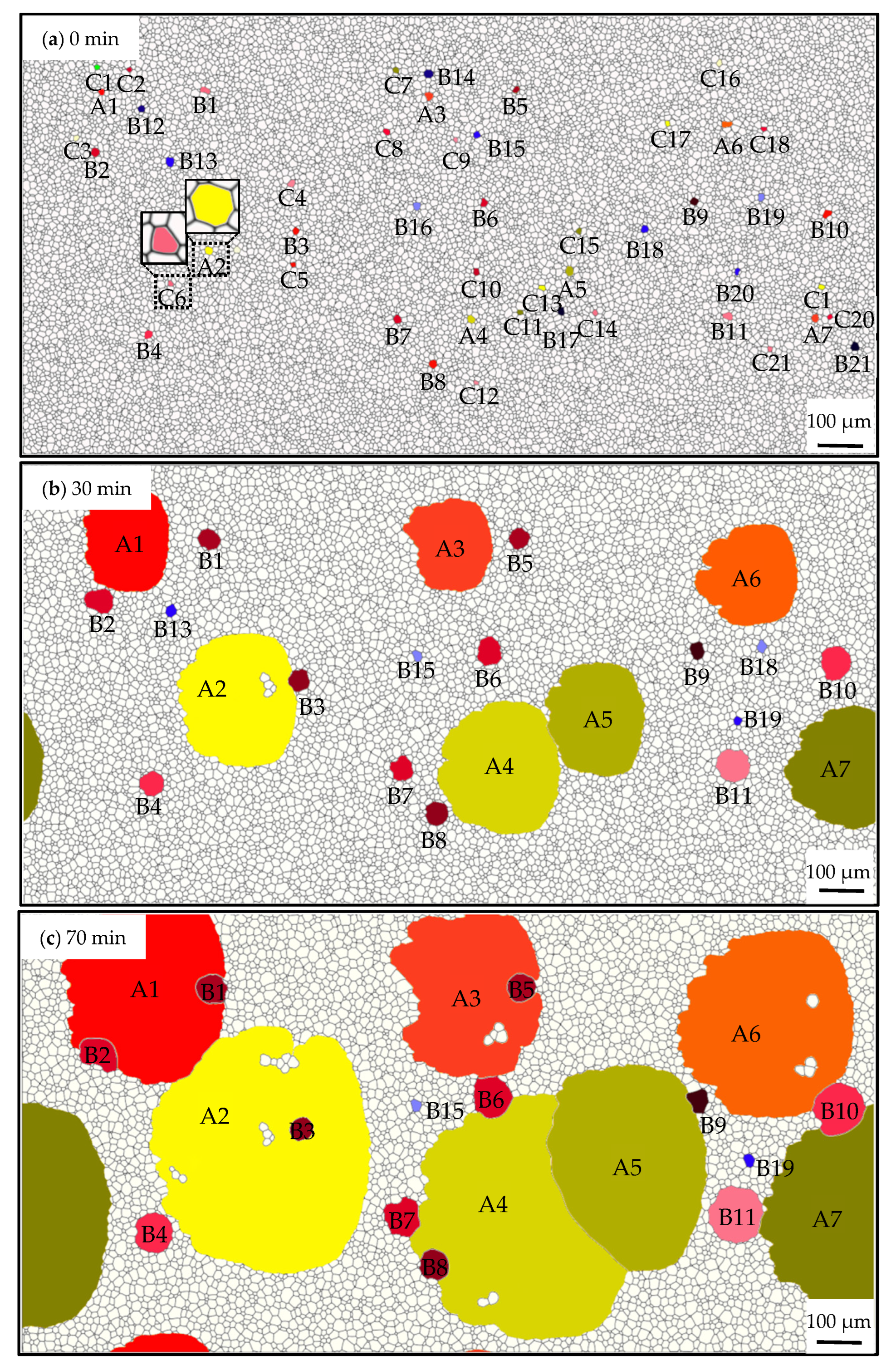 Nanomaterials 12 04148 g014a