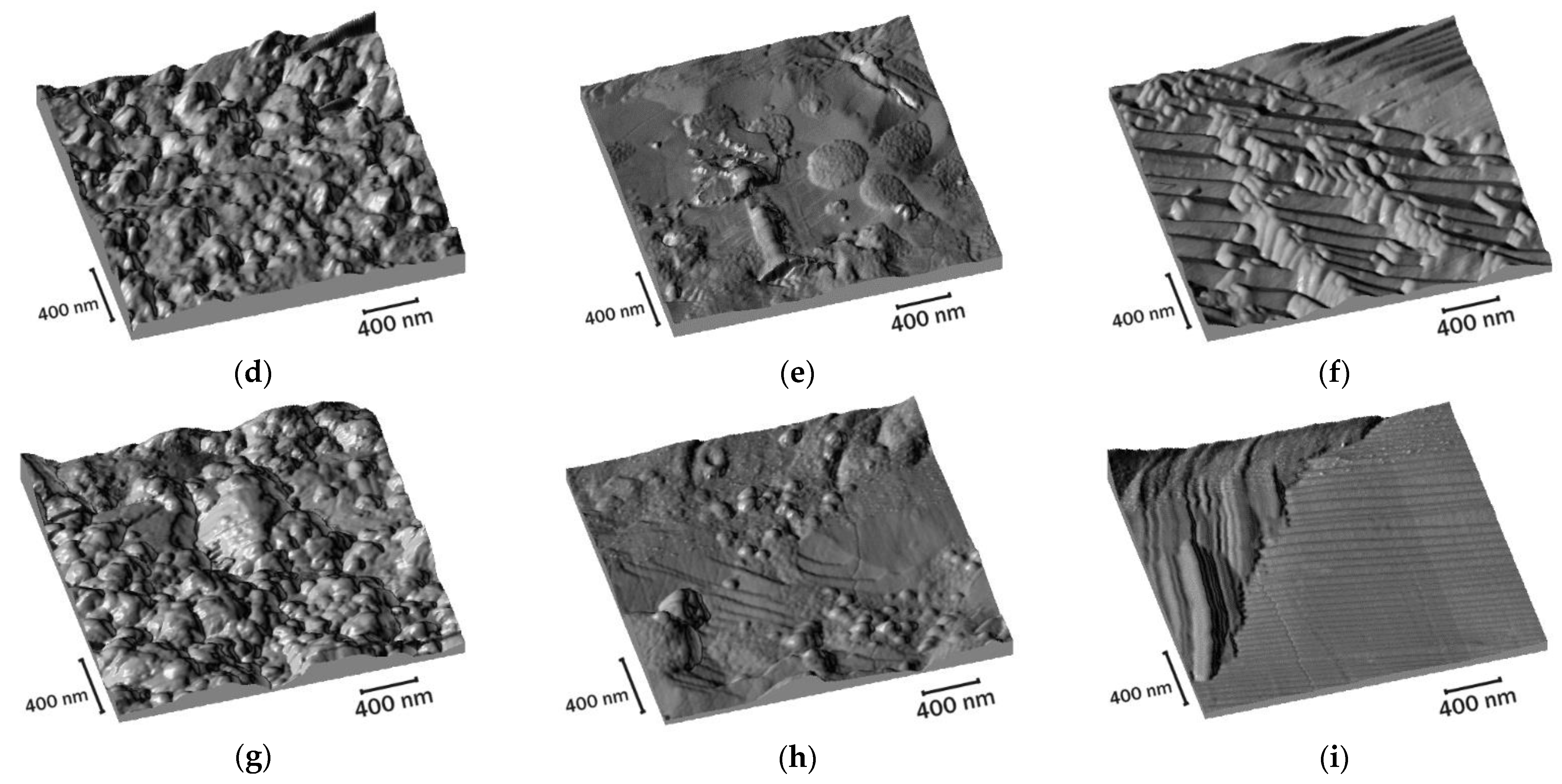 Nanomaterials 12 04150 g005b