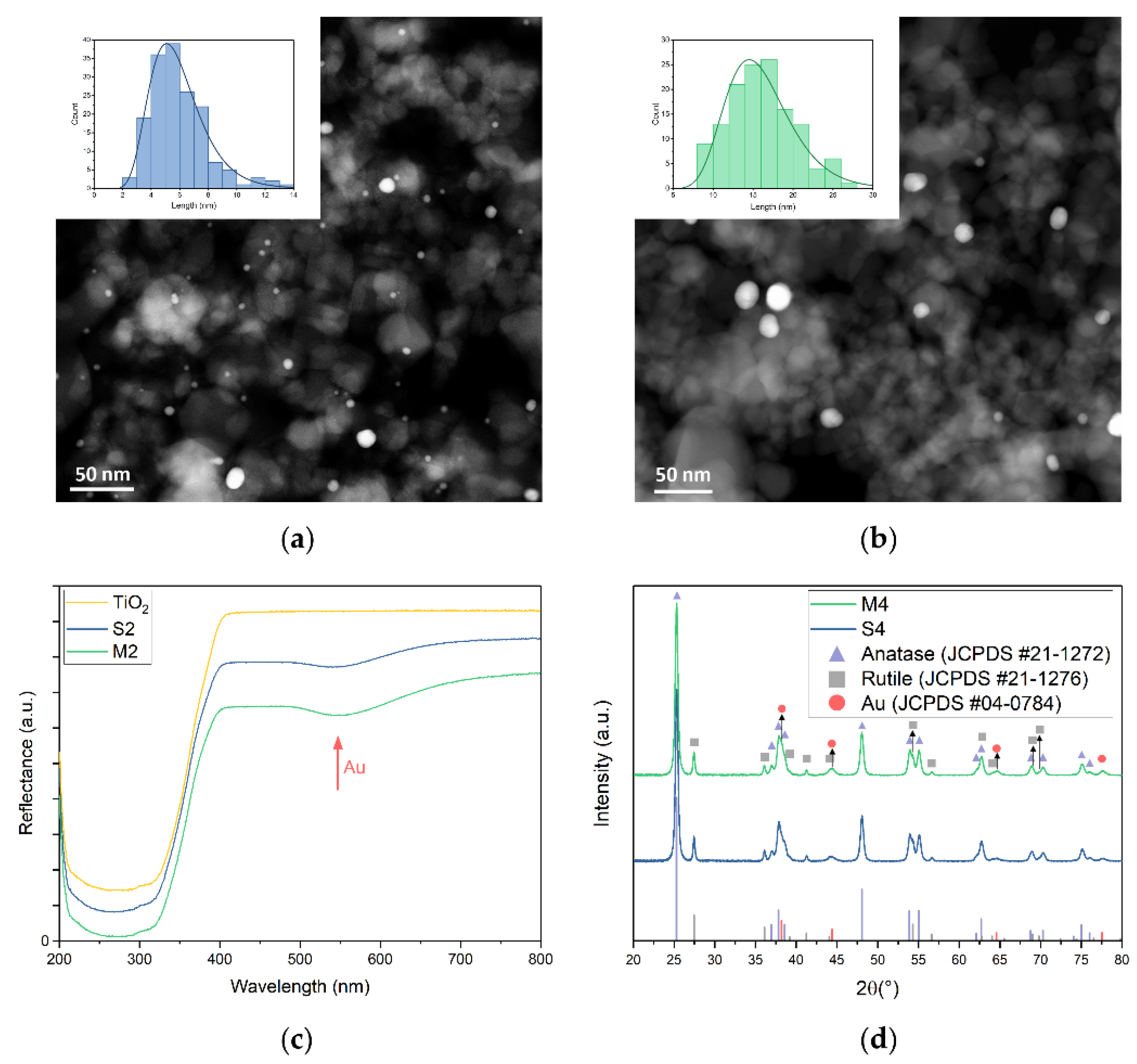Nanomaterials 12 04153 g001