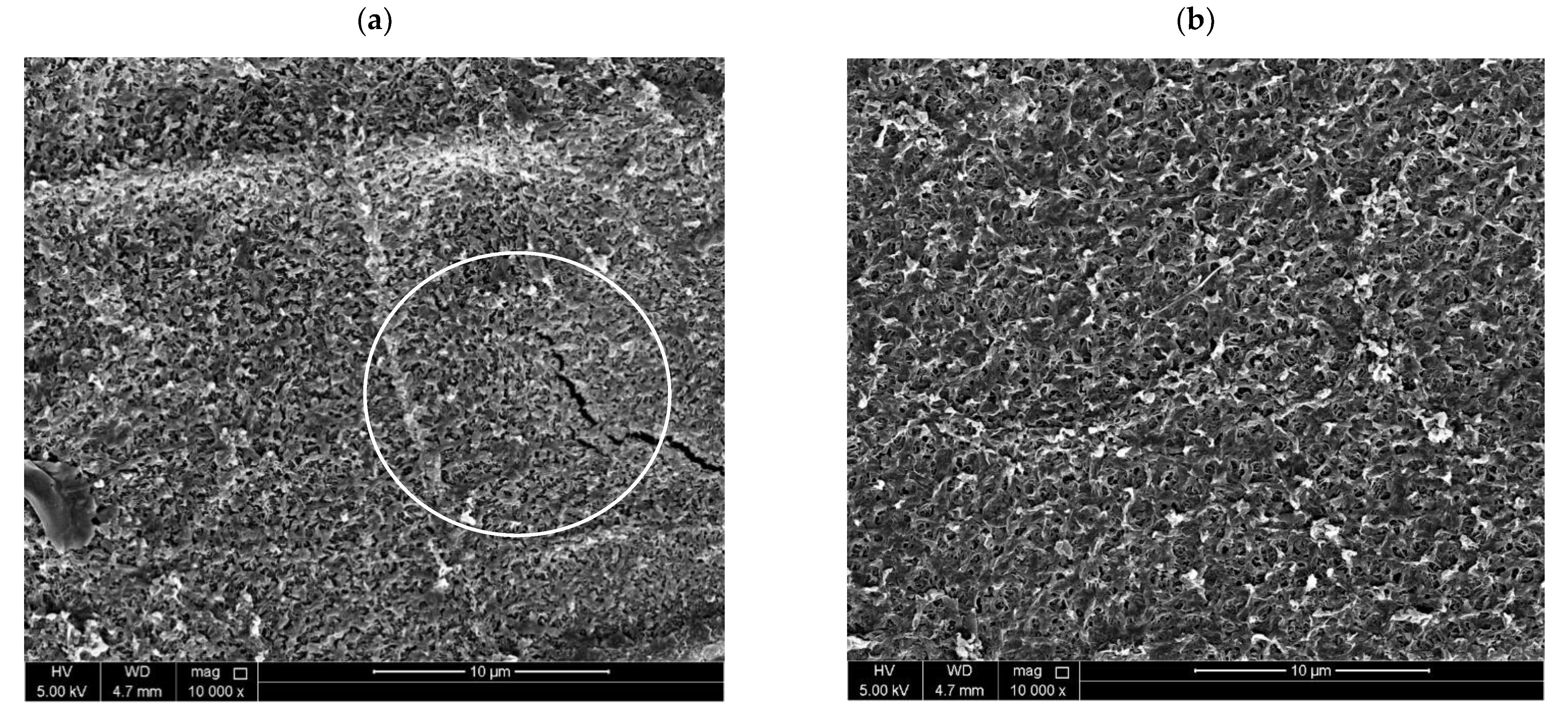 Nanomaterials 12 04154 g013 Nanomaterials 12 04154 g013