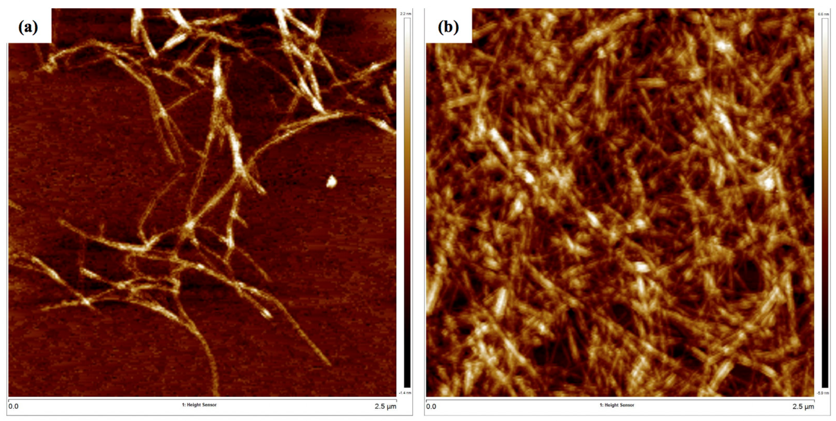 Nanomaterials 12 04156 g007