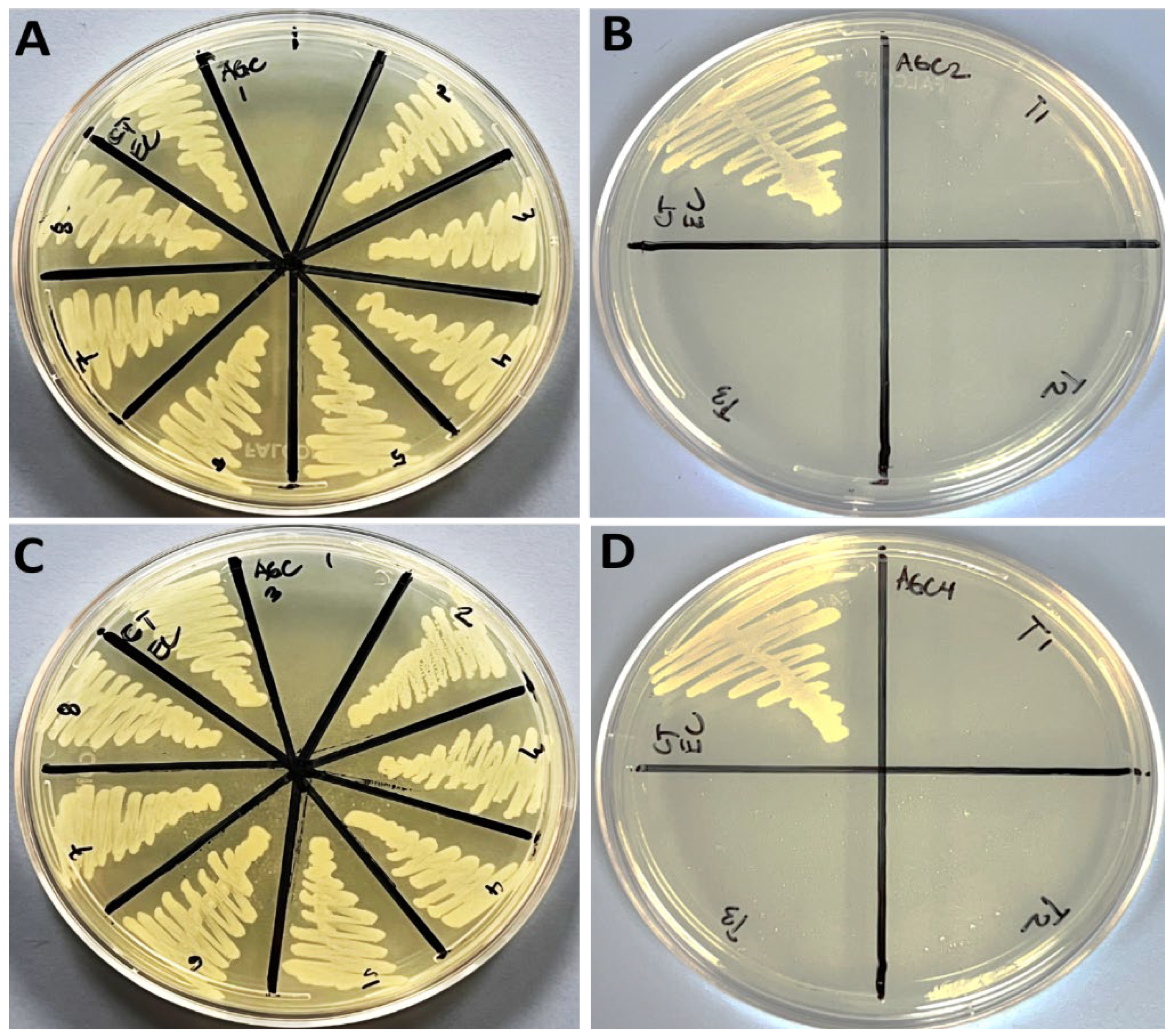 Nanomaterials 12 04167 g005 Nanomaterials 12 04167 g005