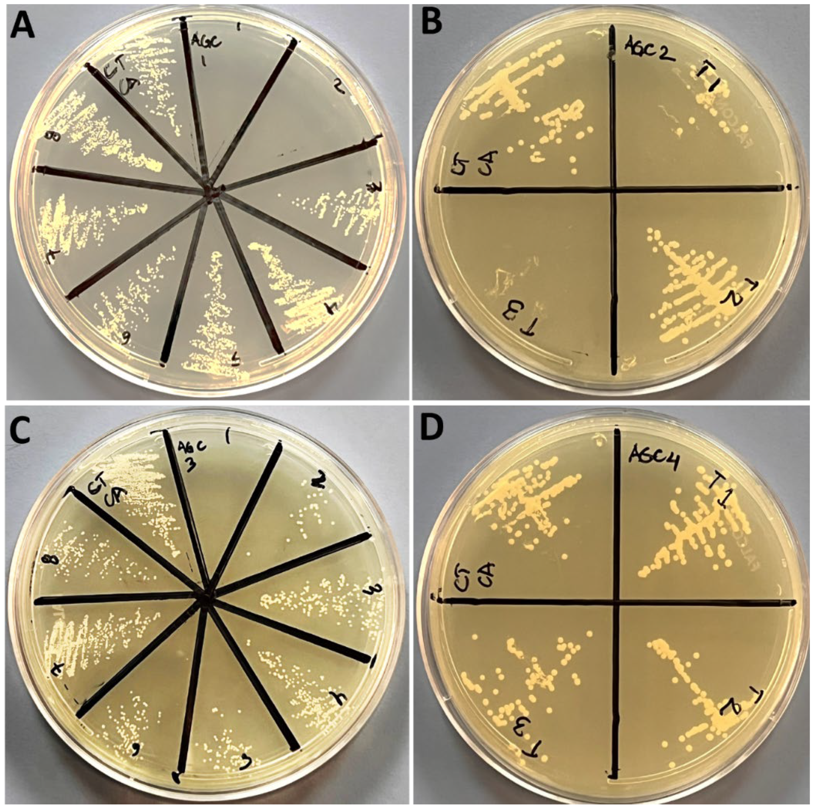Nanomaterials 12 04167 g006 Nanomaterials 12 04167 g006