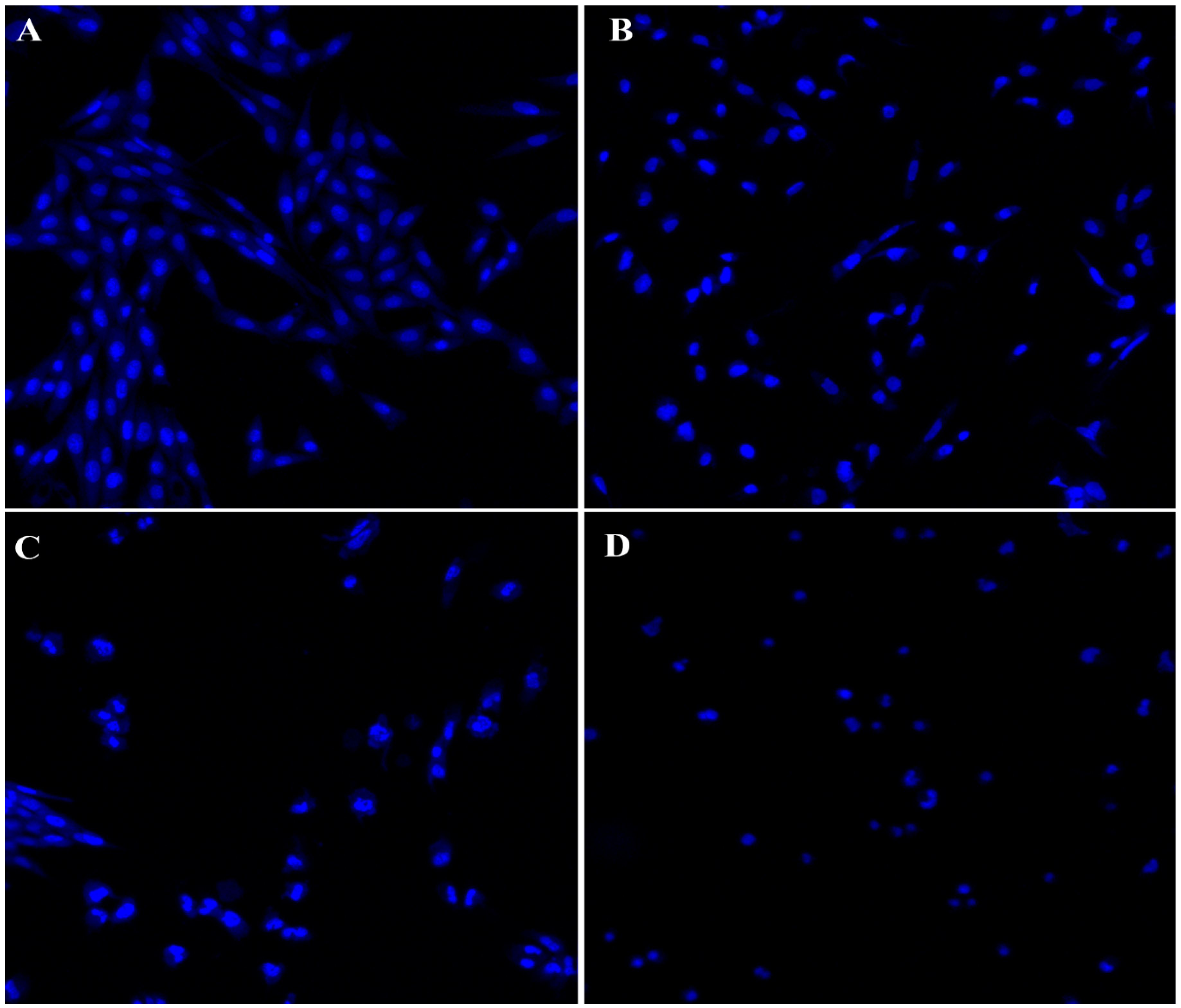 Nanomaterials 12 04167 g012 Nanomaterials 12 04167 g012