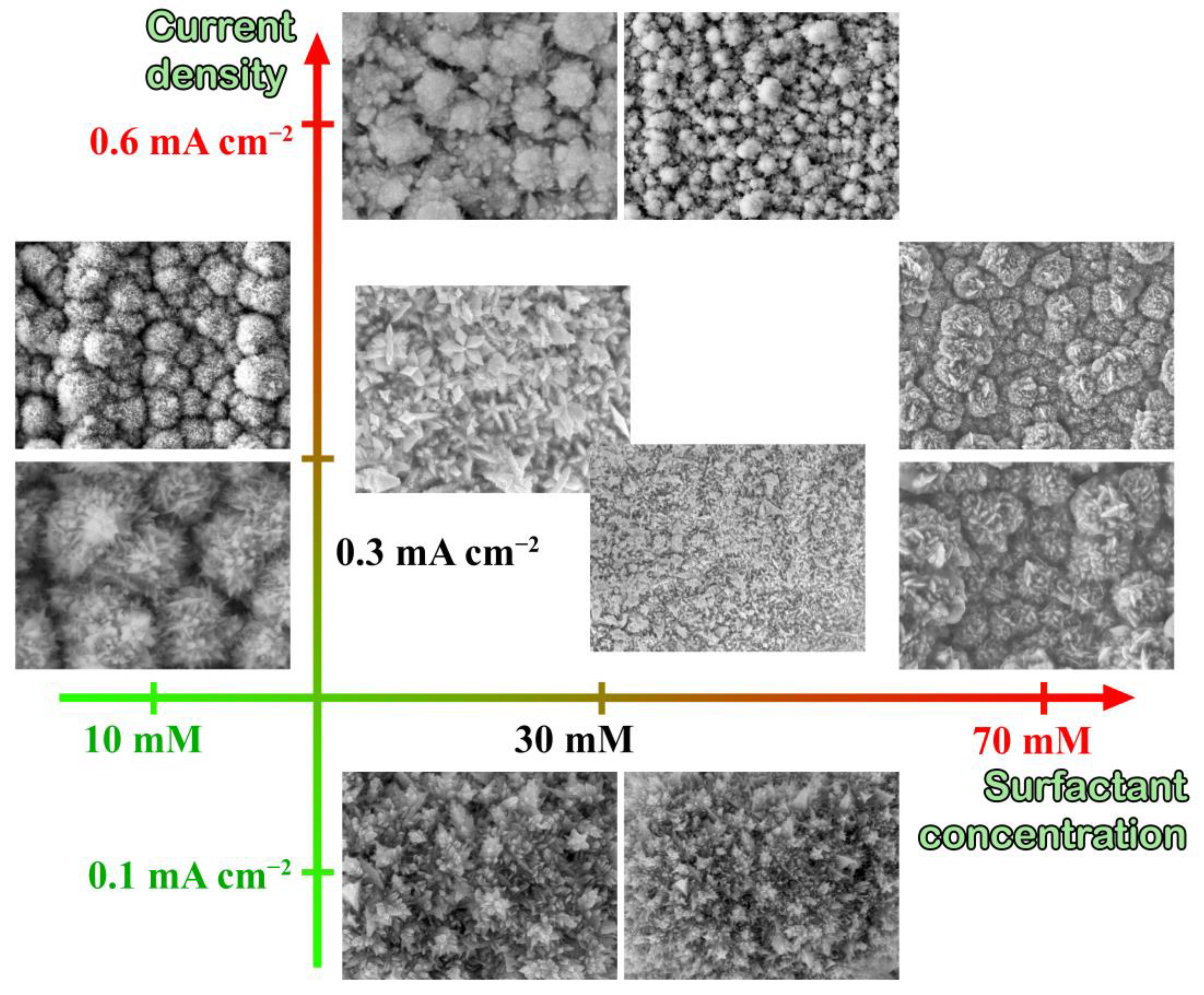 Nanomaterials 12 04178 g001