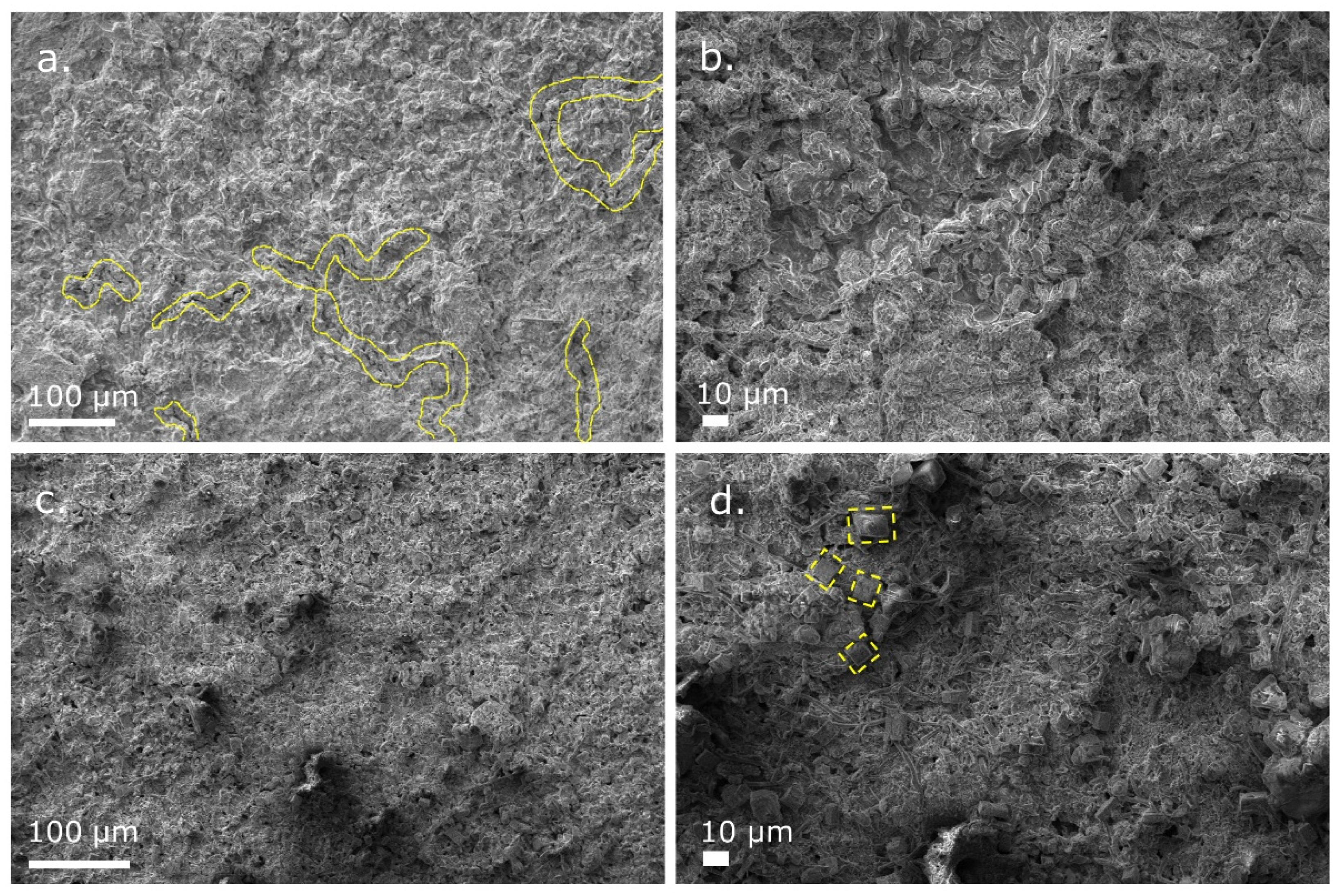 Nanomaterials 12 04185 g005