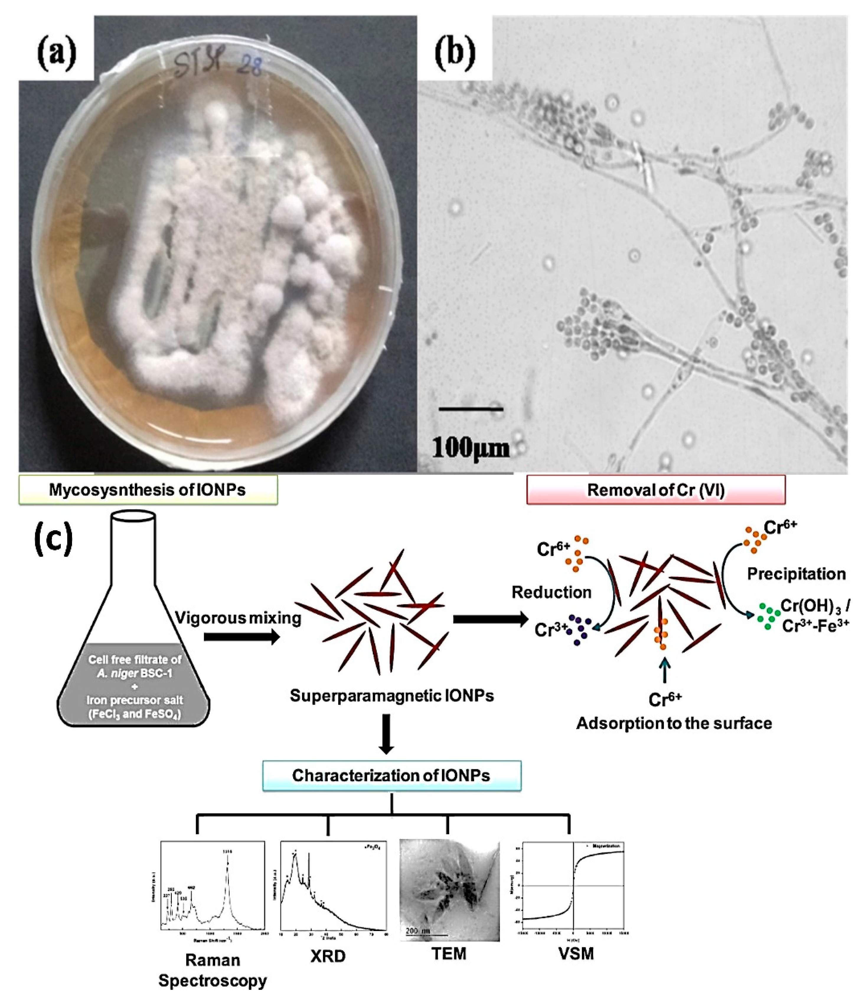 Nanomaterials 12 04187 g004 Nanomaterials 12 04187 g004