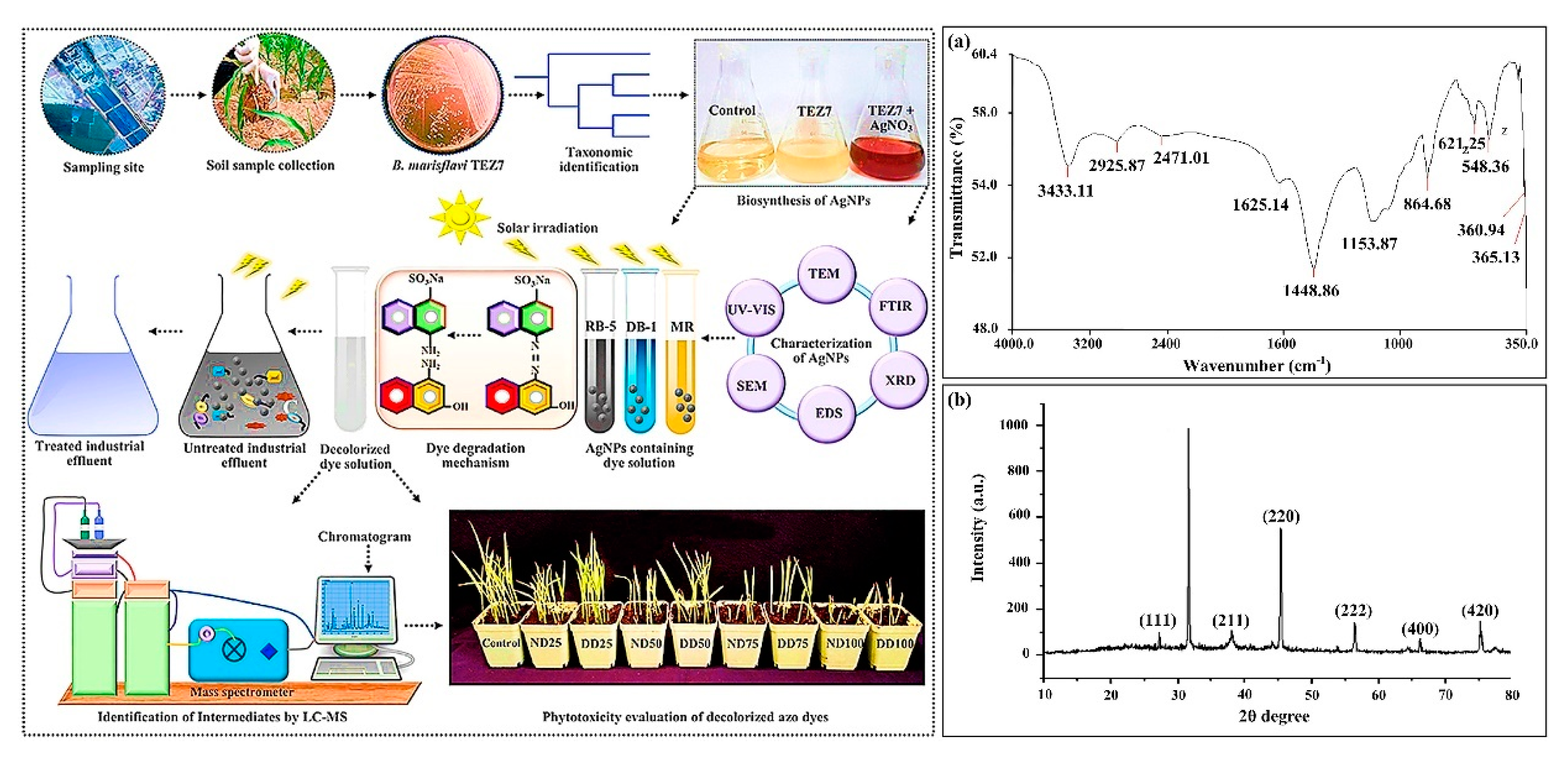 Nanomaterials 12 04187 g006 Nanomaterials 12 04187 g006