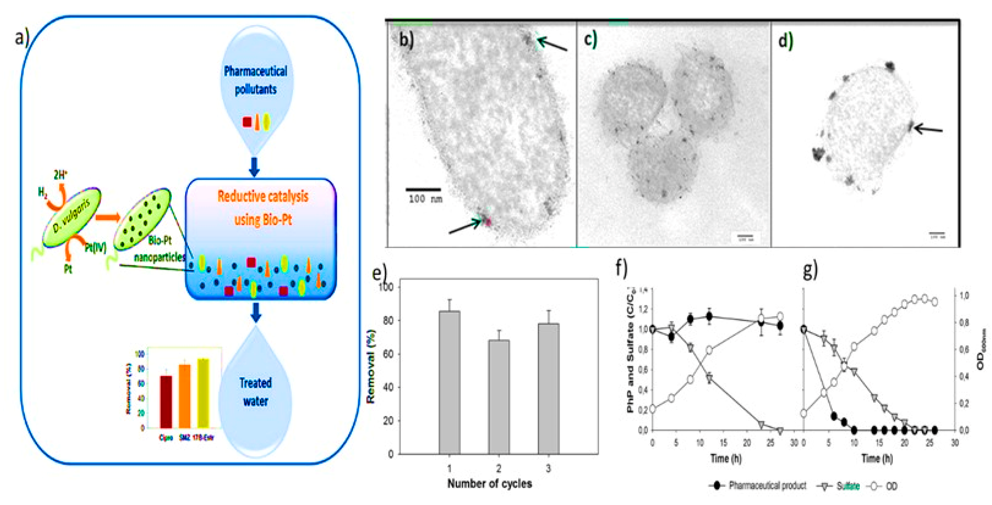 Nanomaterials 12 04187 g008 Nanomaterials 12 04187 g008