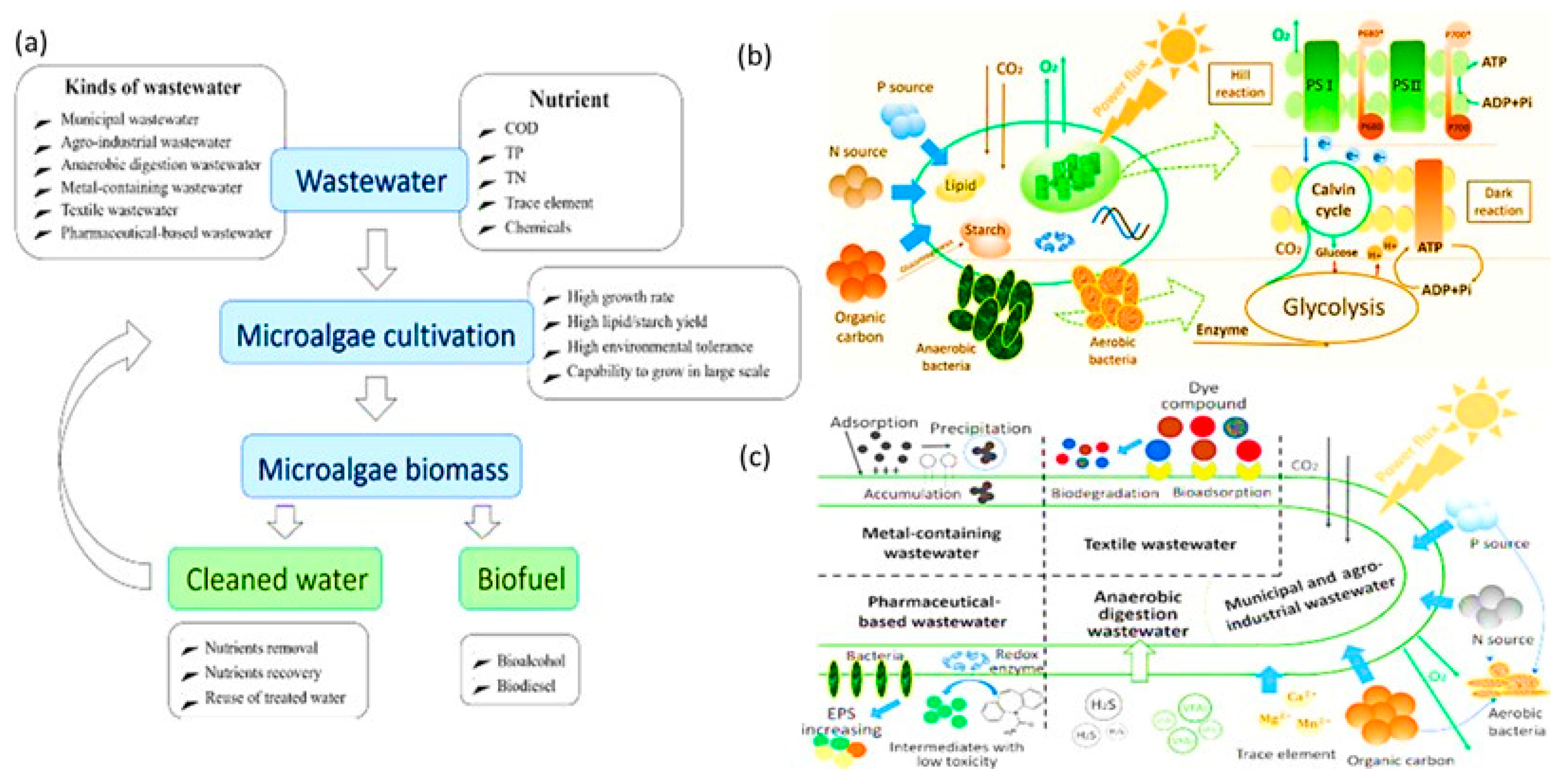 Nanomaterials 12 04187 g010 Nanomaterials 12 04187 g010