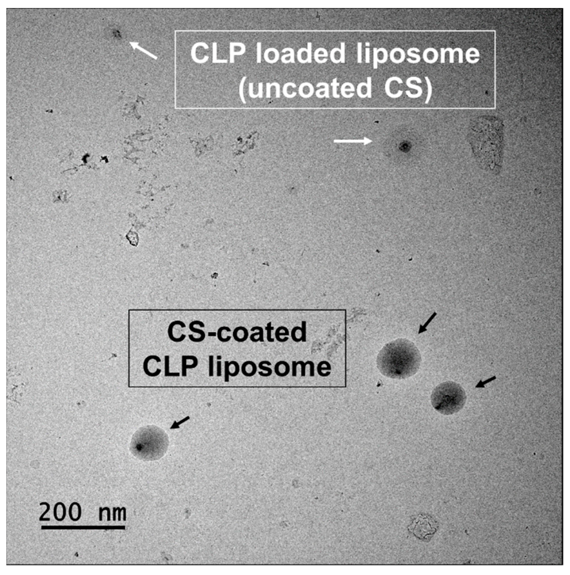 Nanomaterials 12 04189 g002
