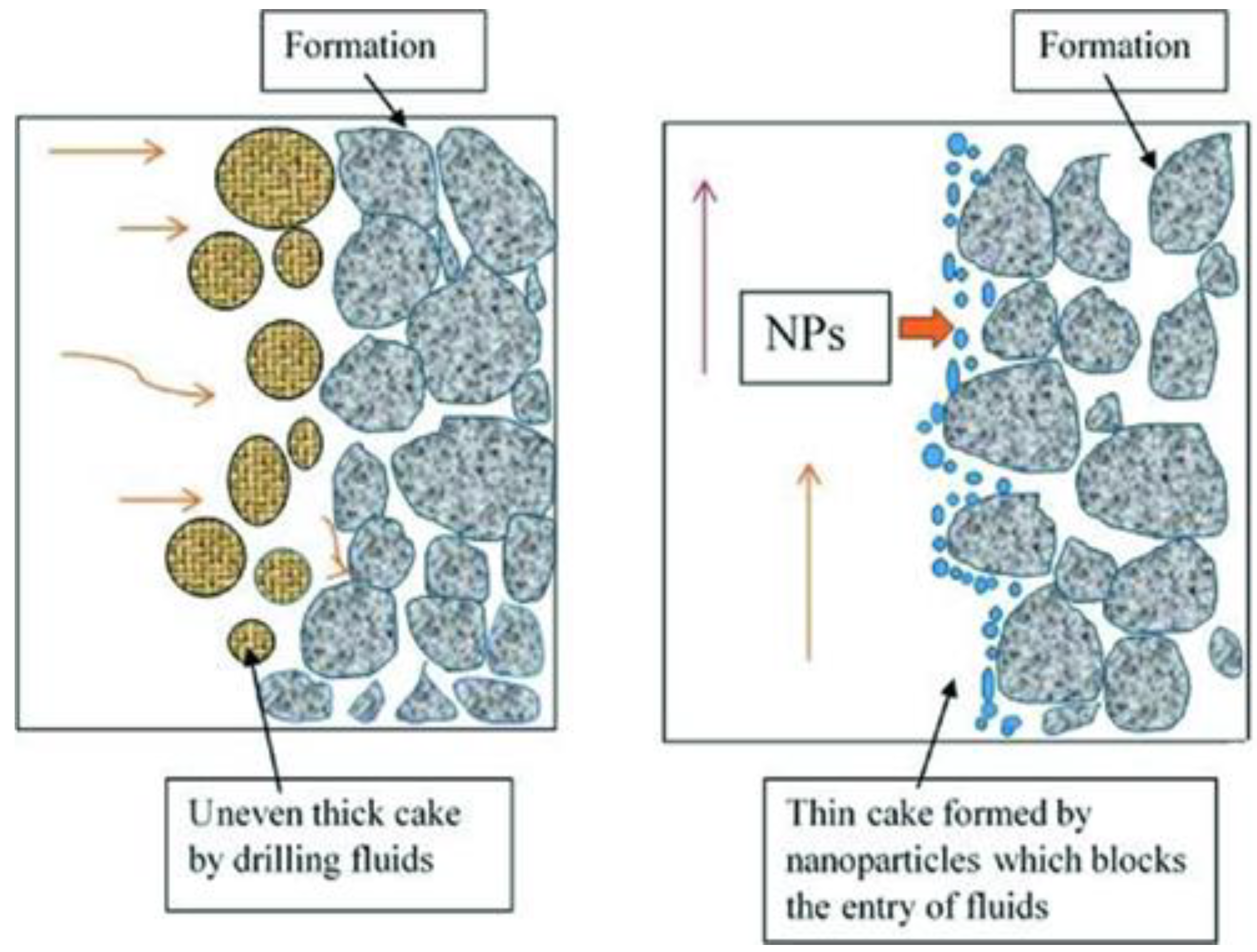 Nanomaterials 12 04214 g005