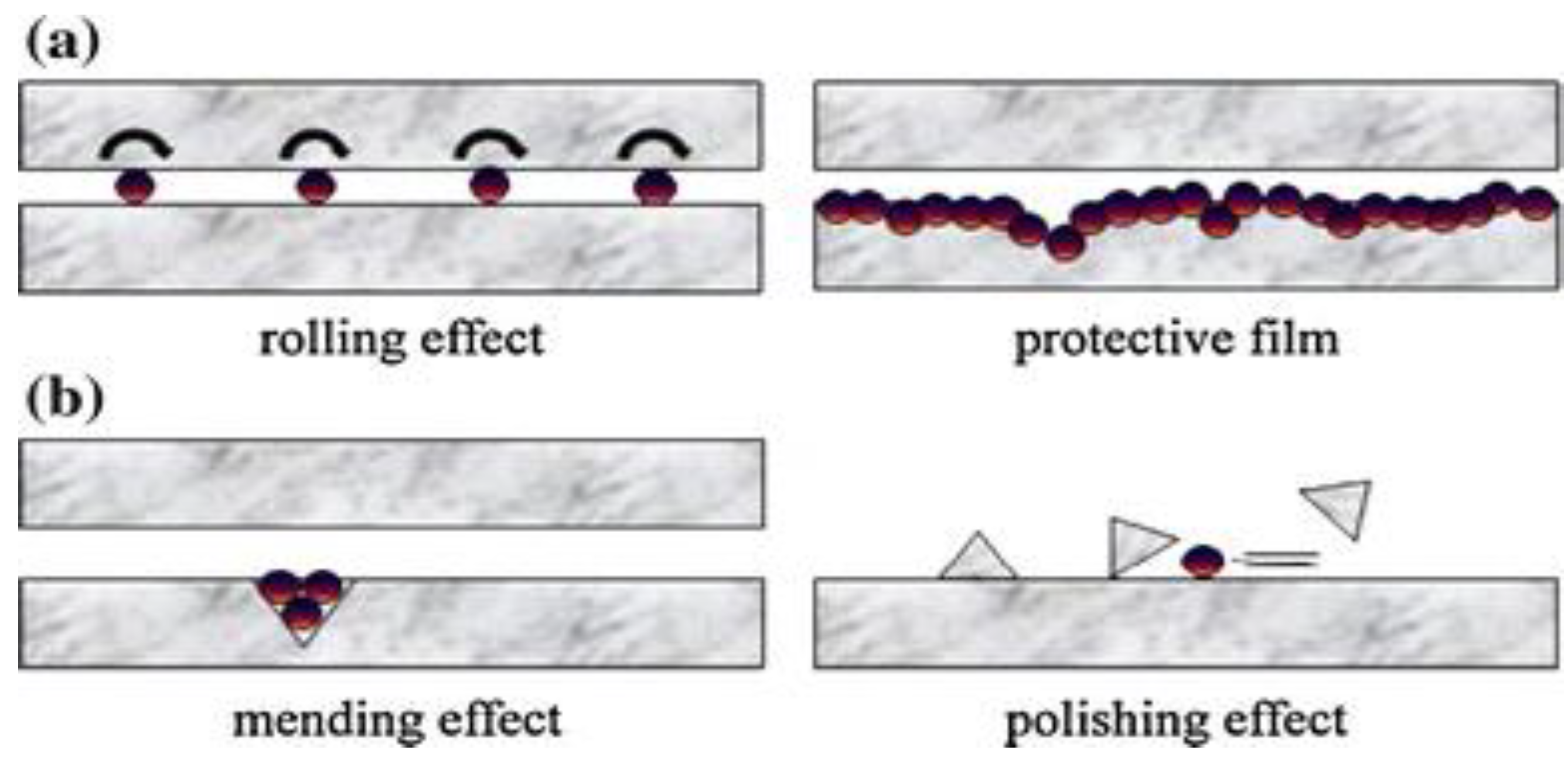 Nanomaterials 12 04214 g010