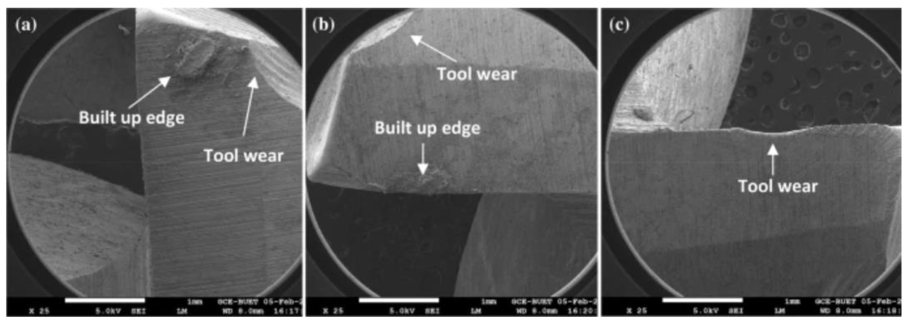 Nanomaterials 12 04214 g012