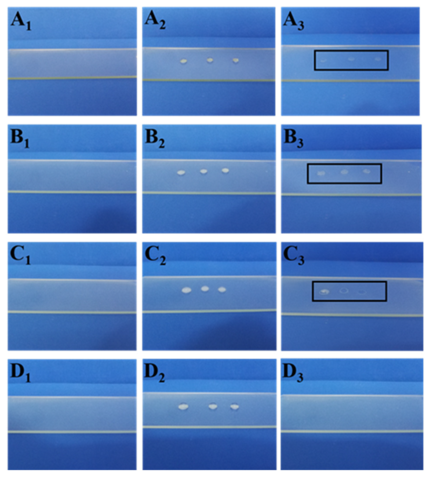 Nanomaterials 12 04216 g010